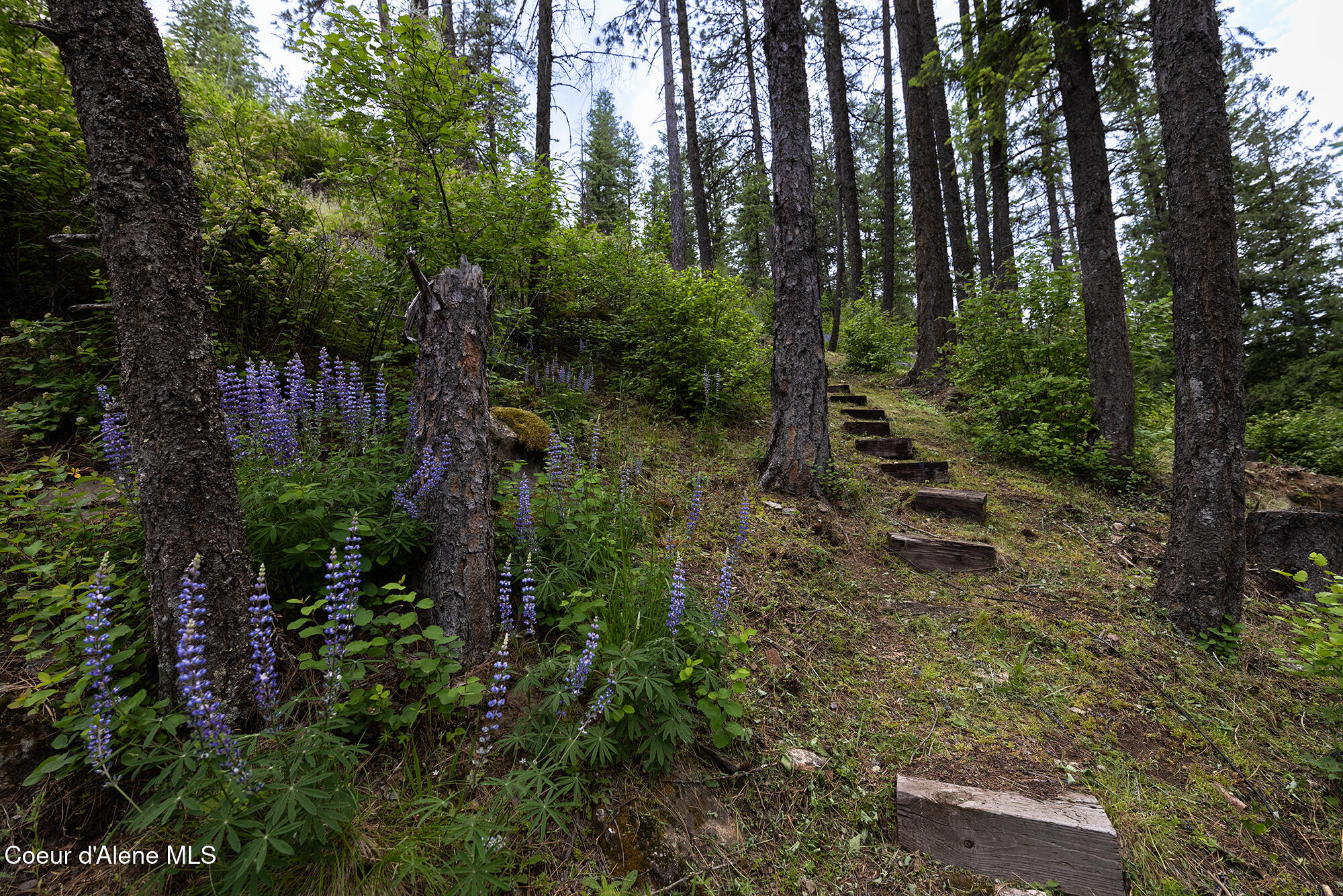 852 S Woodland Dr, Sandpoint, Alaska image 36