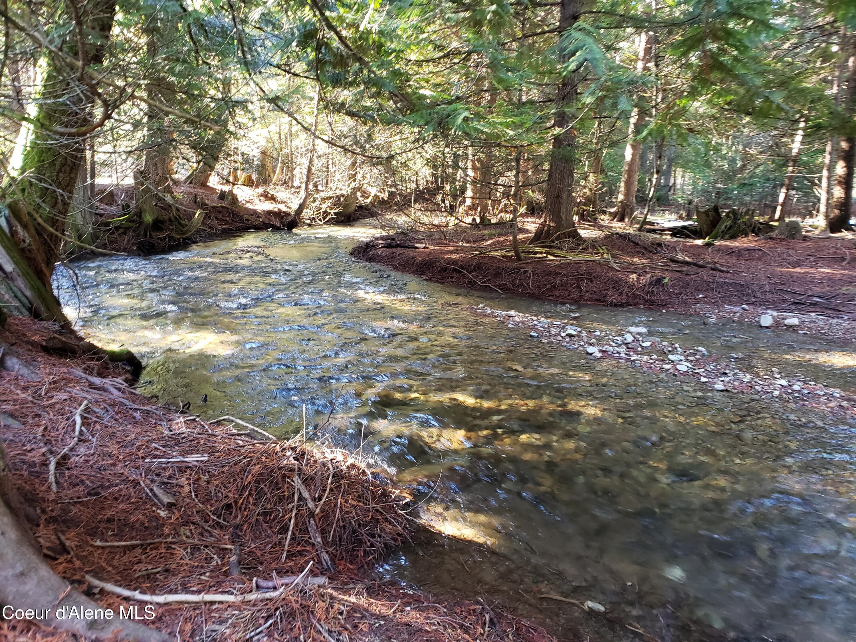 NNA E Spring Creek, Clark Fork, Idaho image 9