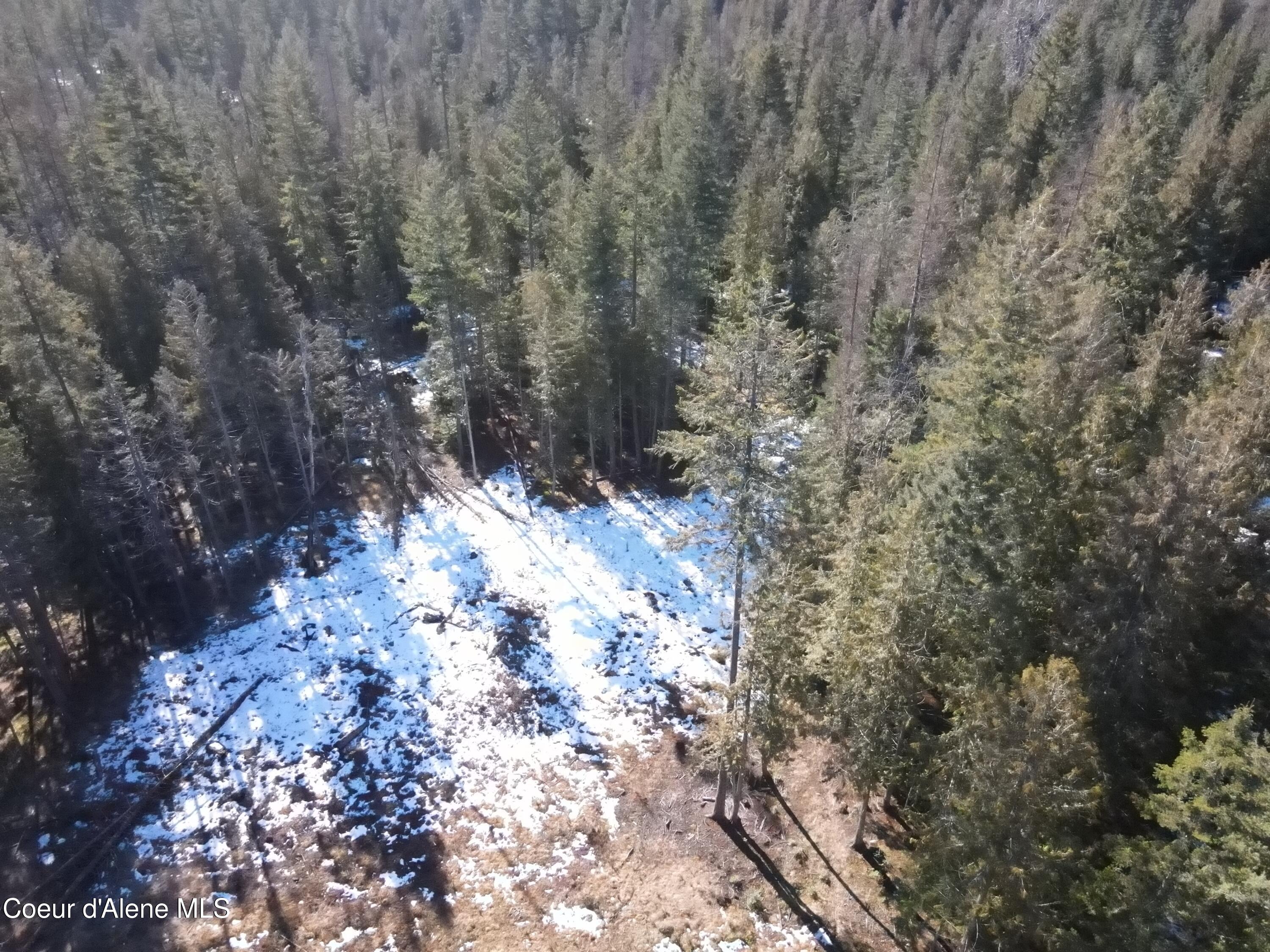 NNA E Spring Creek, Clark Fork, Idaho image 13