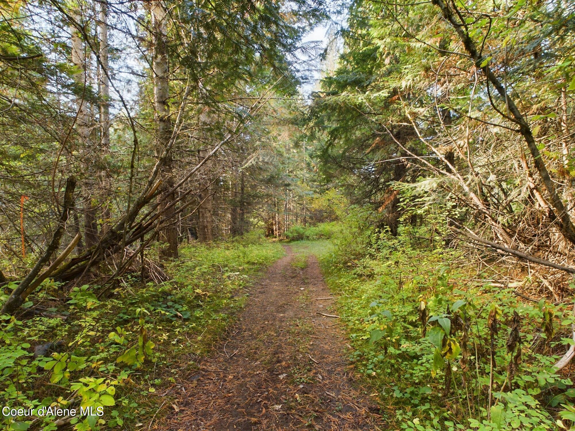 Lot 1 Bear Creek, Kingston, Idaho image 8