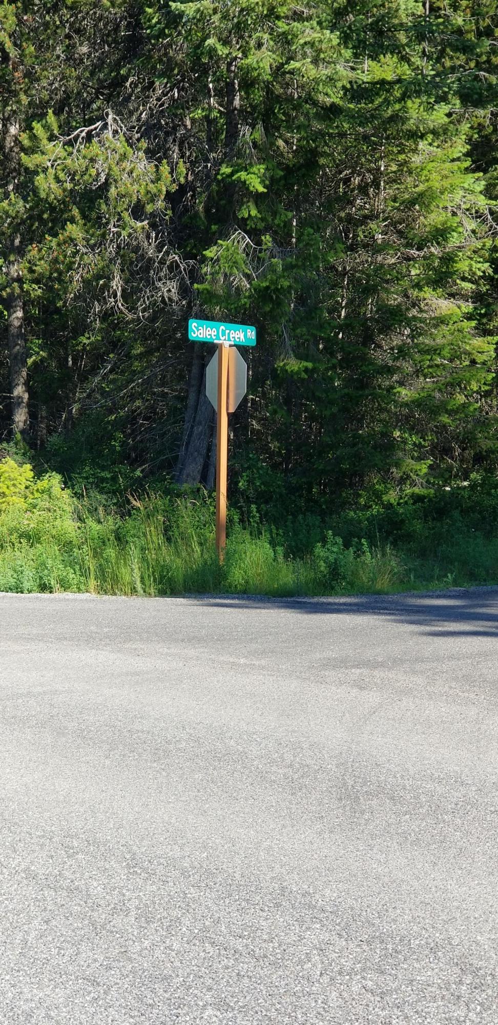 Photo of 1097 Salee Creek Creek, Bayview, ID 83803 (MLS # 26-10124)