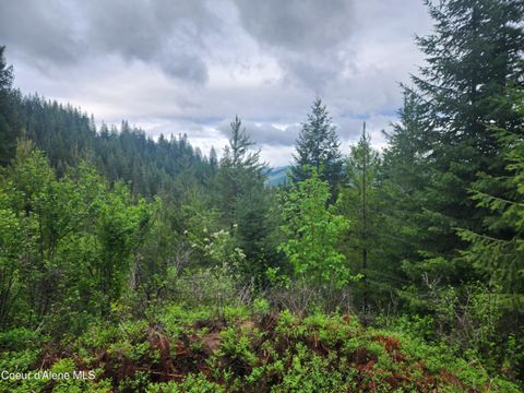 Vacant Land For Sale - 370 Hemlock<br/> Fernwood, ID 83830