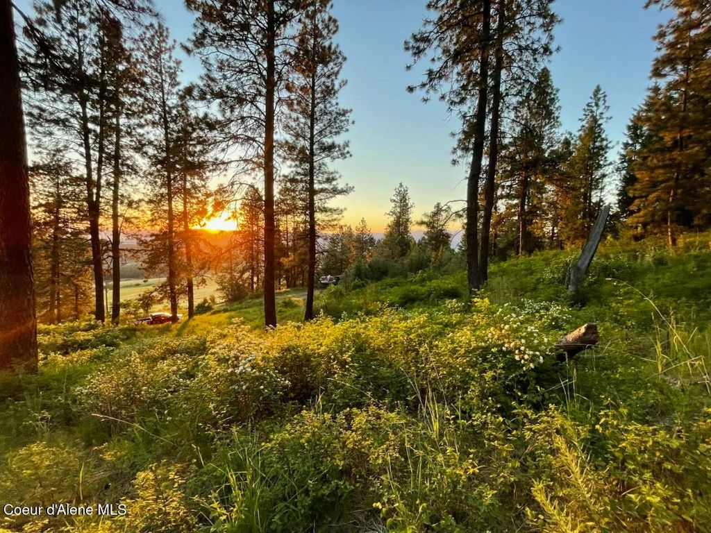 Photo of 2276 Big Rock RD, Post Falls, ID 83854 (MLS # 26-5697)