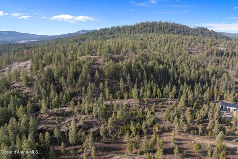Vacant Land For Sale - NKA Healing Dr. Lot 2<br/> Blanchard, ID 83804