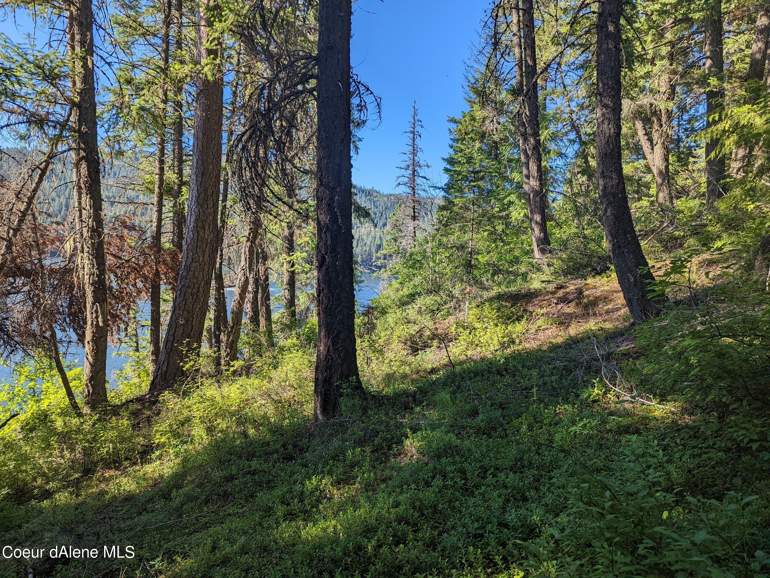 18714 S Spirit Lake, Spirit Lake, Idaho image 14