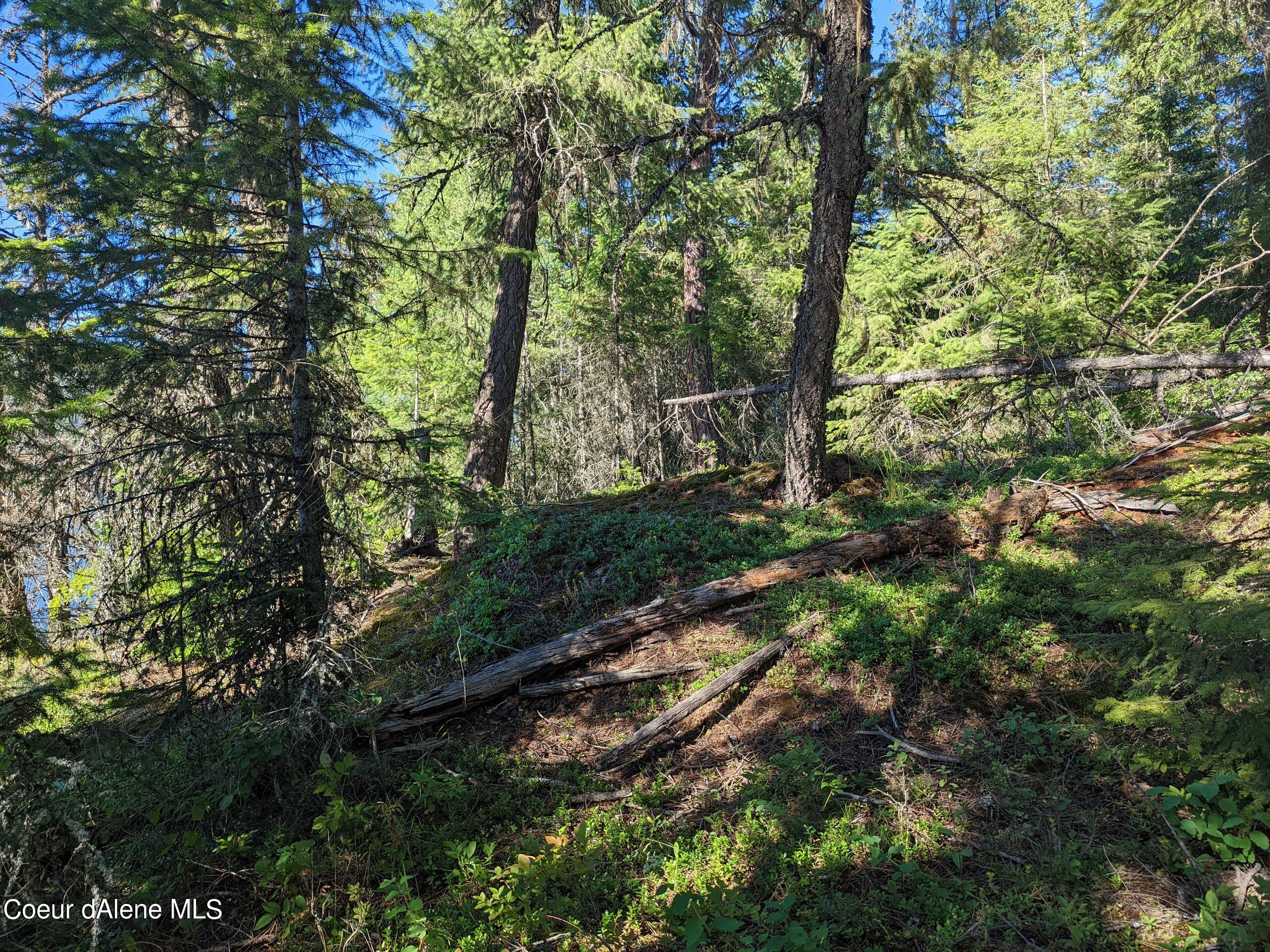 18714 S Spirit Lake, Spirit Lake, Idaho image 19