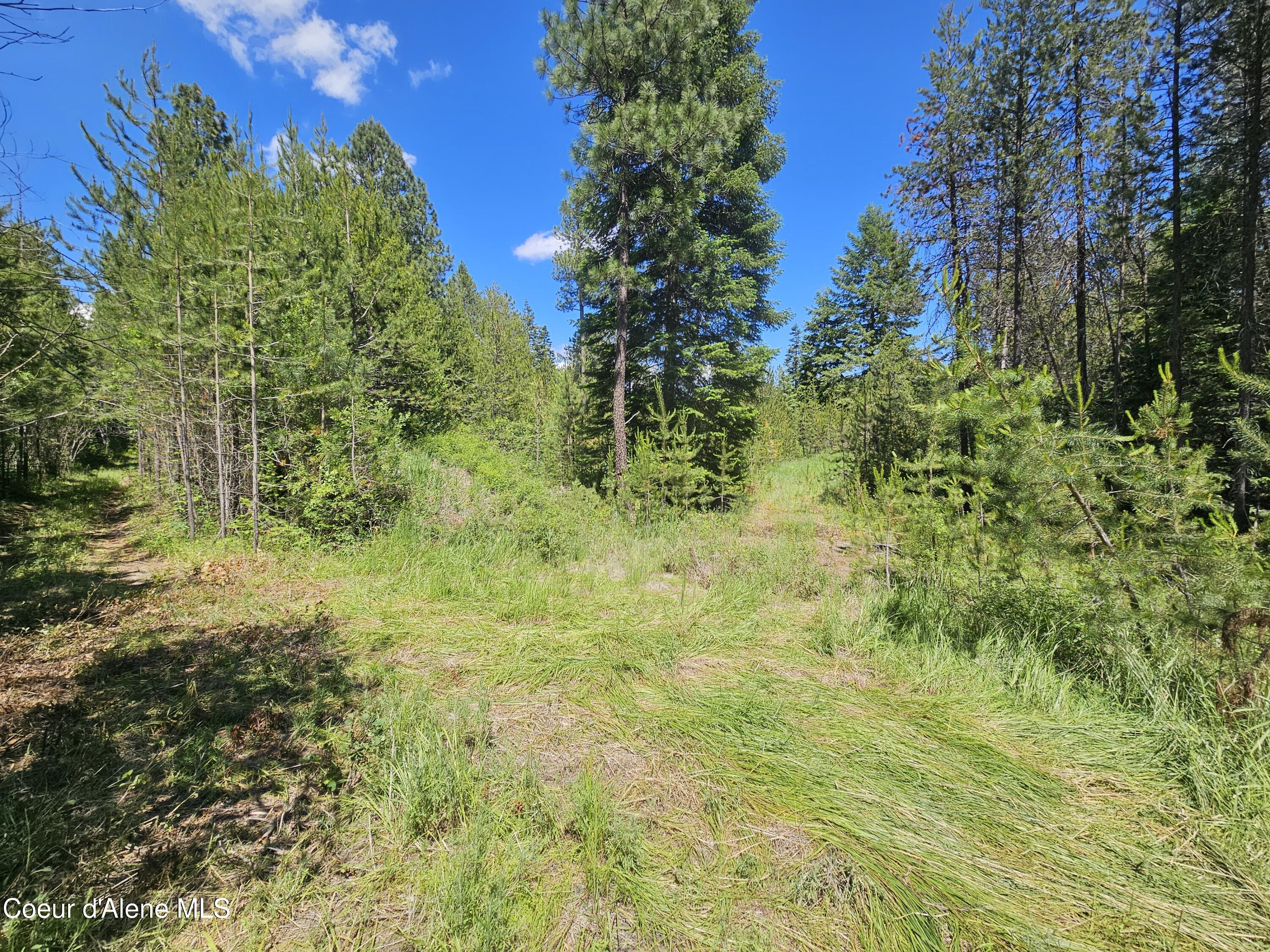 NKA E Parks Rd, Athol, Texas image 11