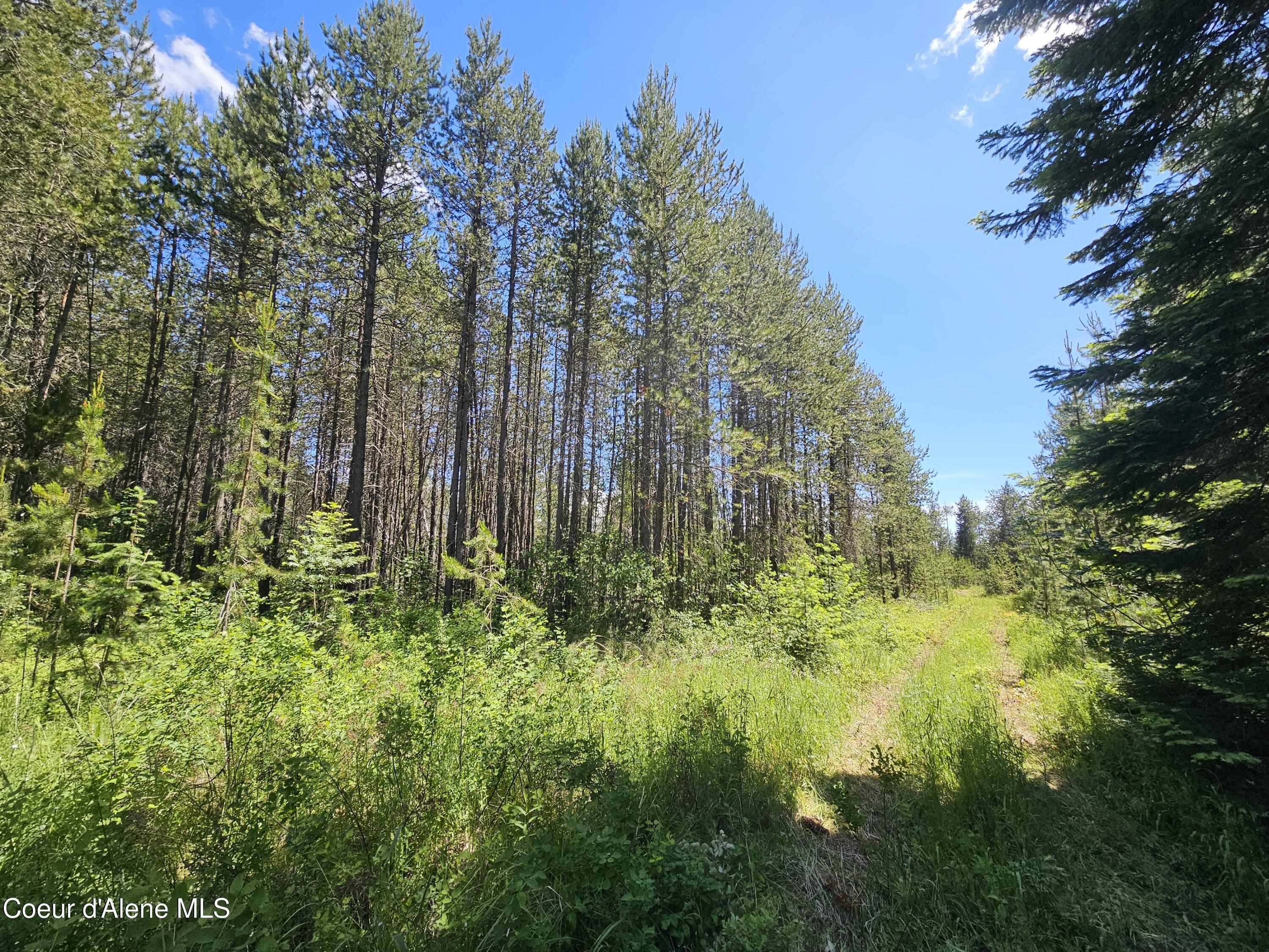 NKA E Parks Rd, Athol, Texas image 12
