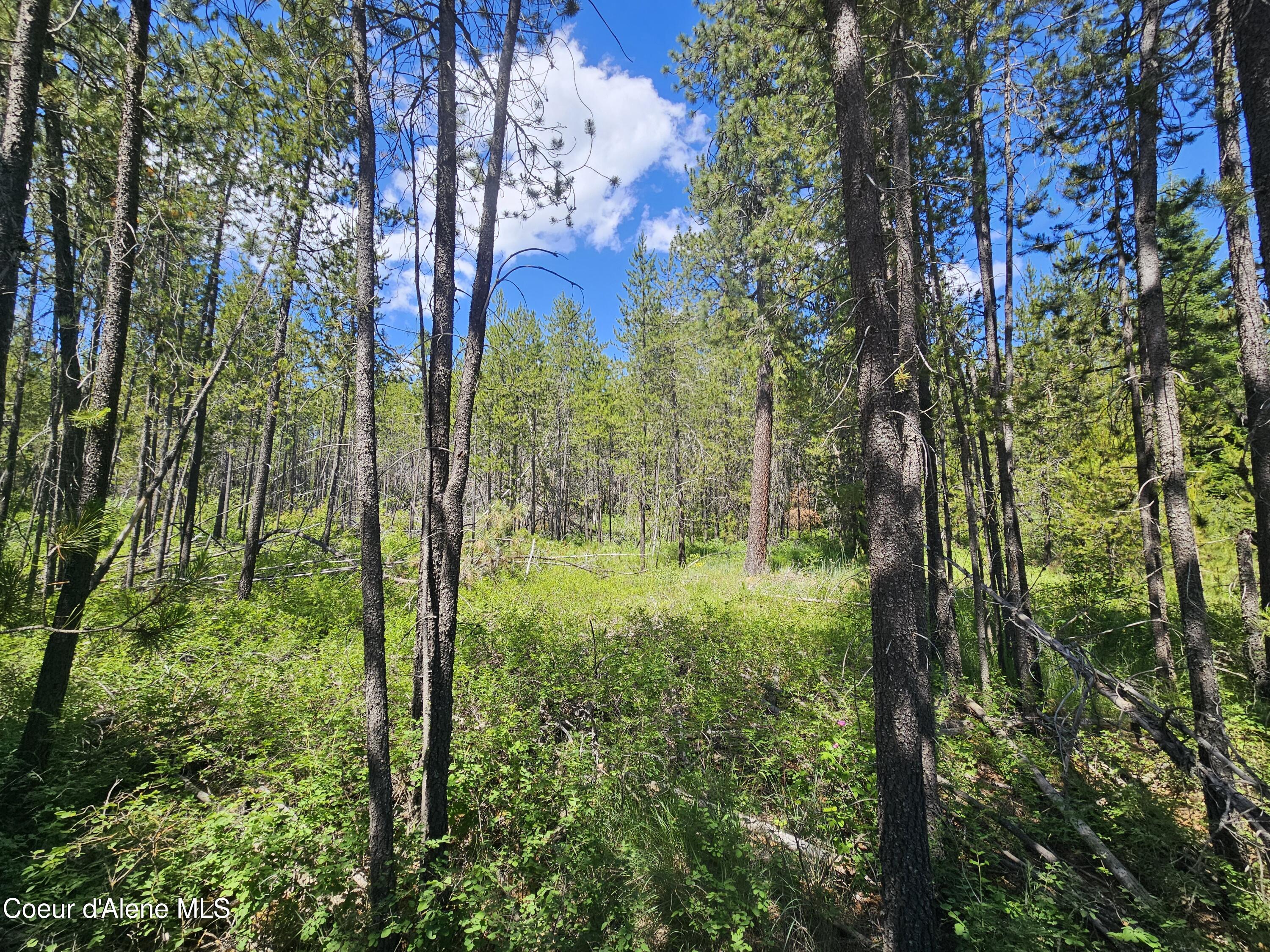 NKA E Parks Rd, Athol, Texas image 13