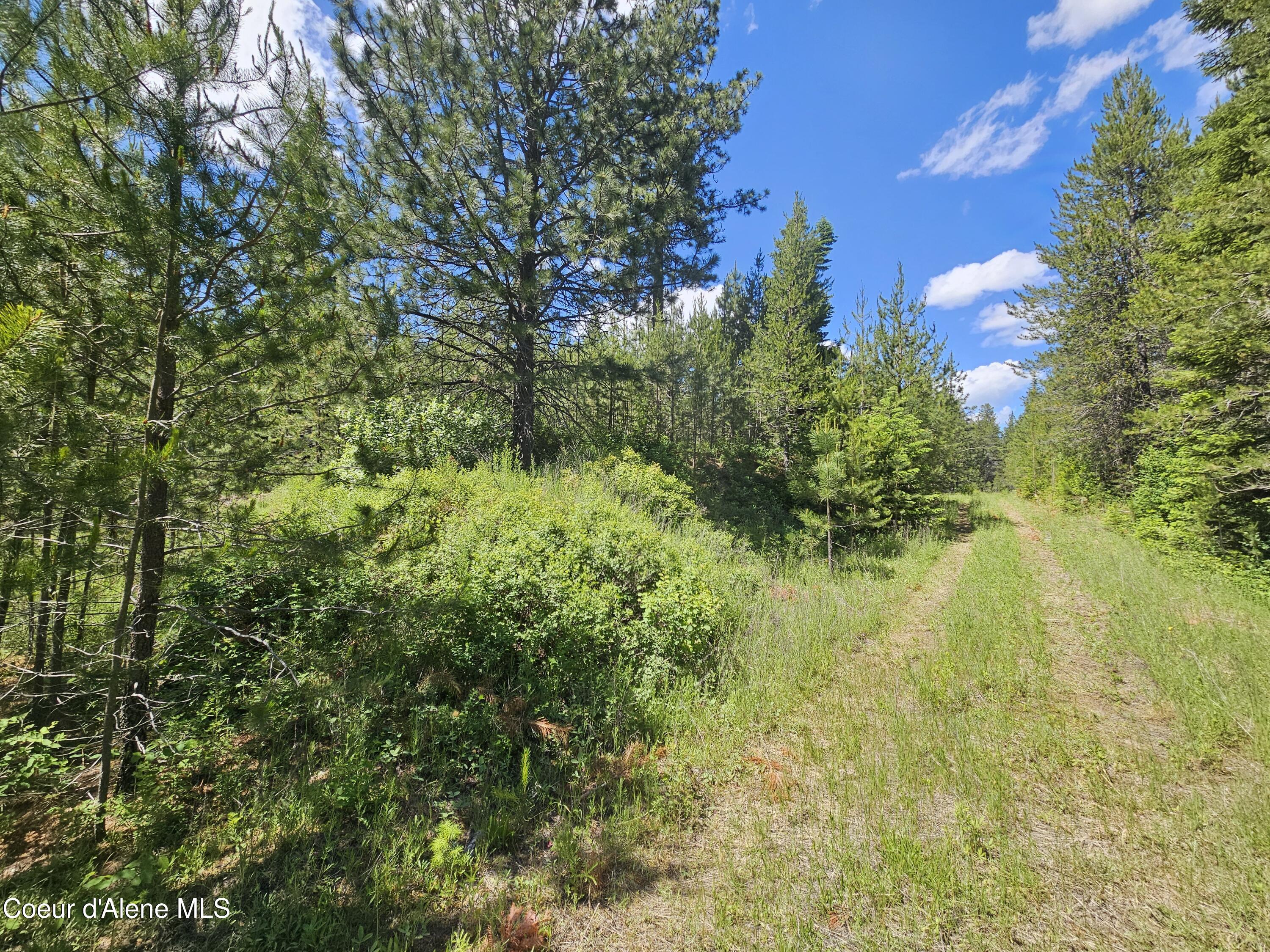 NKA E Parks Rd, Athol, Texas image 15