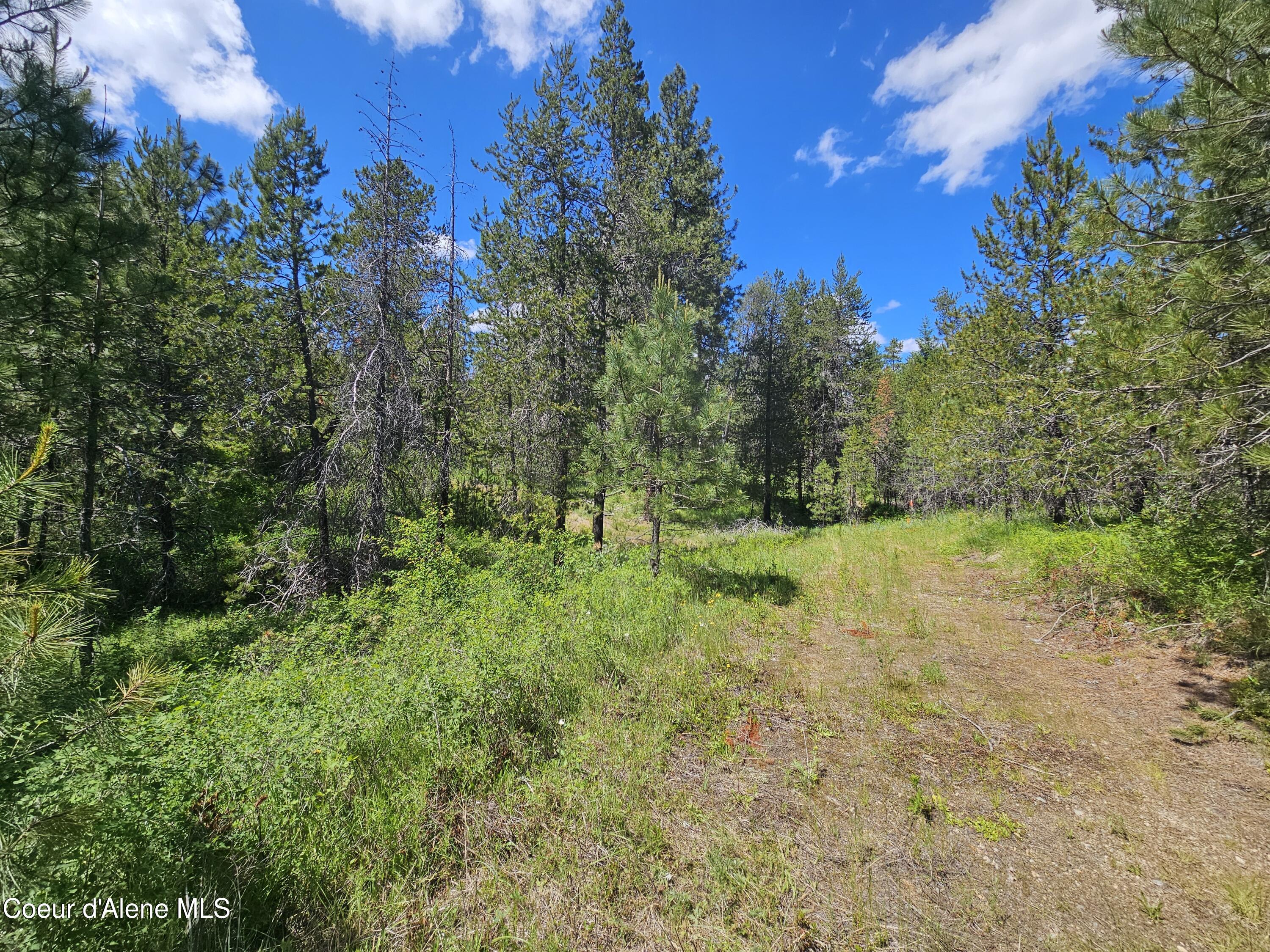 NKA E Parks Rd, Athol, Texas image 10