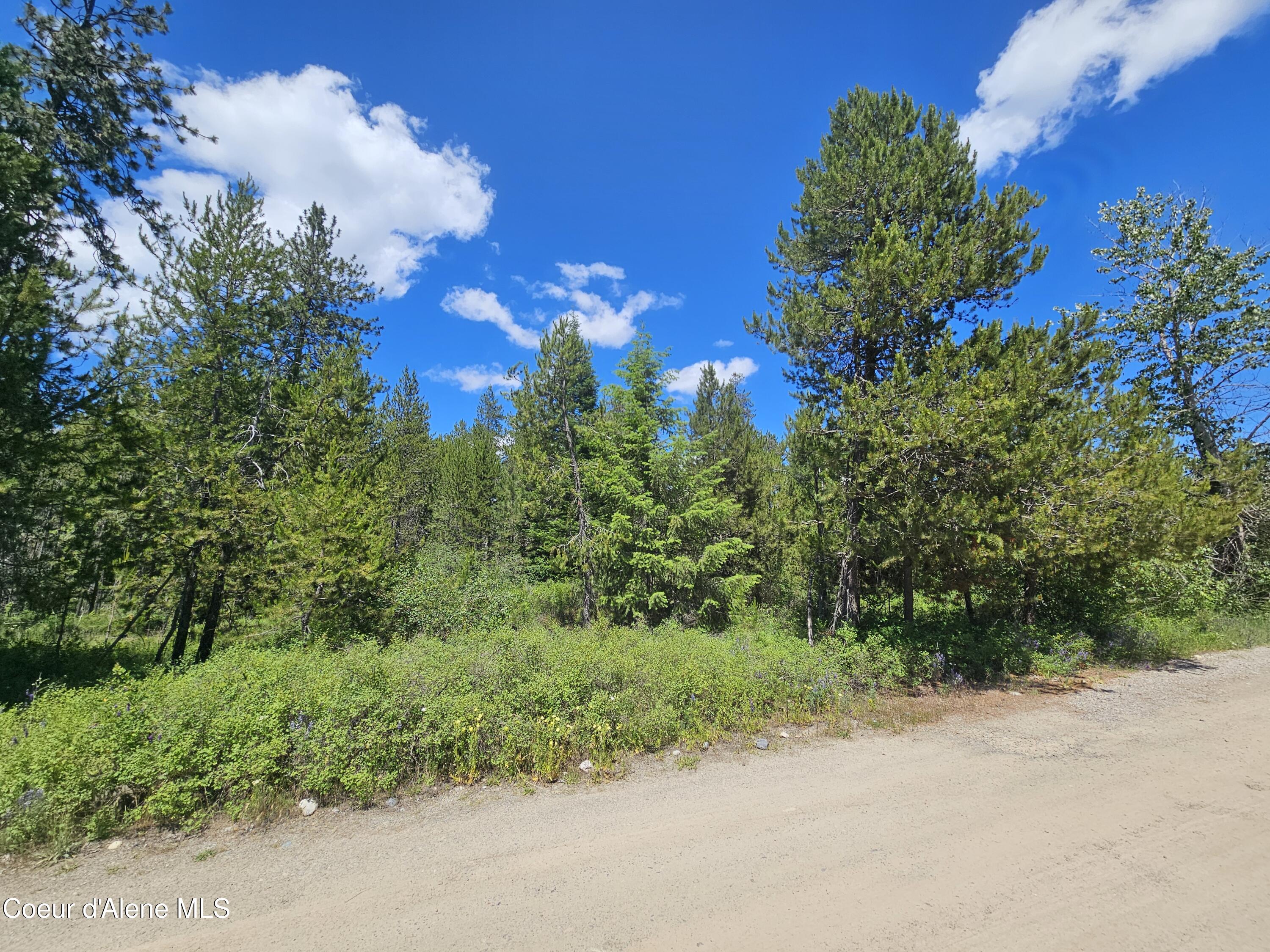 NKA E Parks Rd, Athol, Texas image 16
