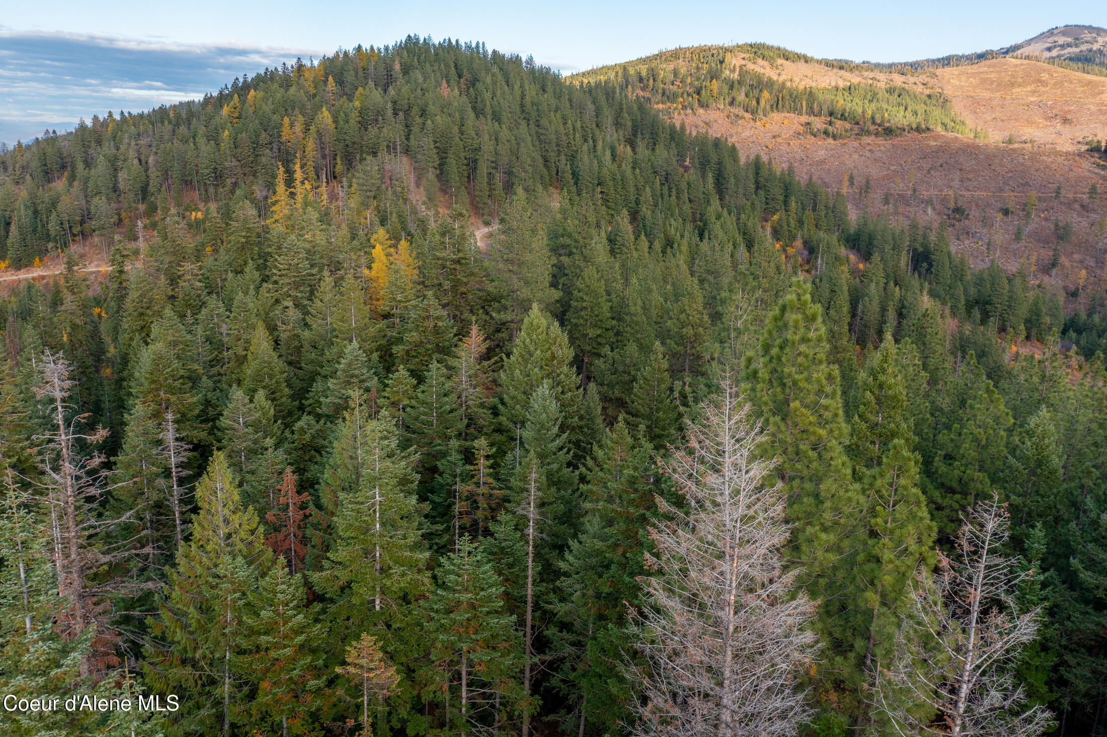 NNA Higbee Draw Rd, Cataldo, Idaho image 13