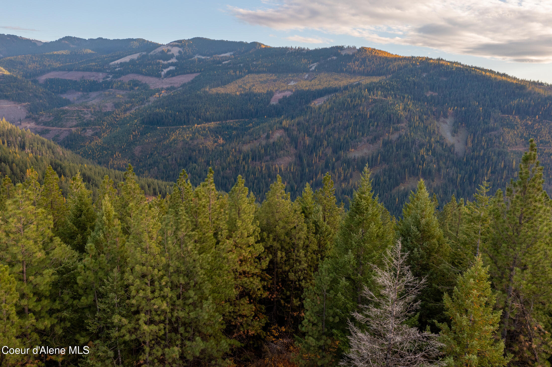 NNA Higbee Draw Rd, Cataldo, Idaho image 9