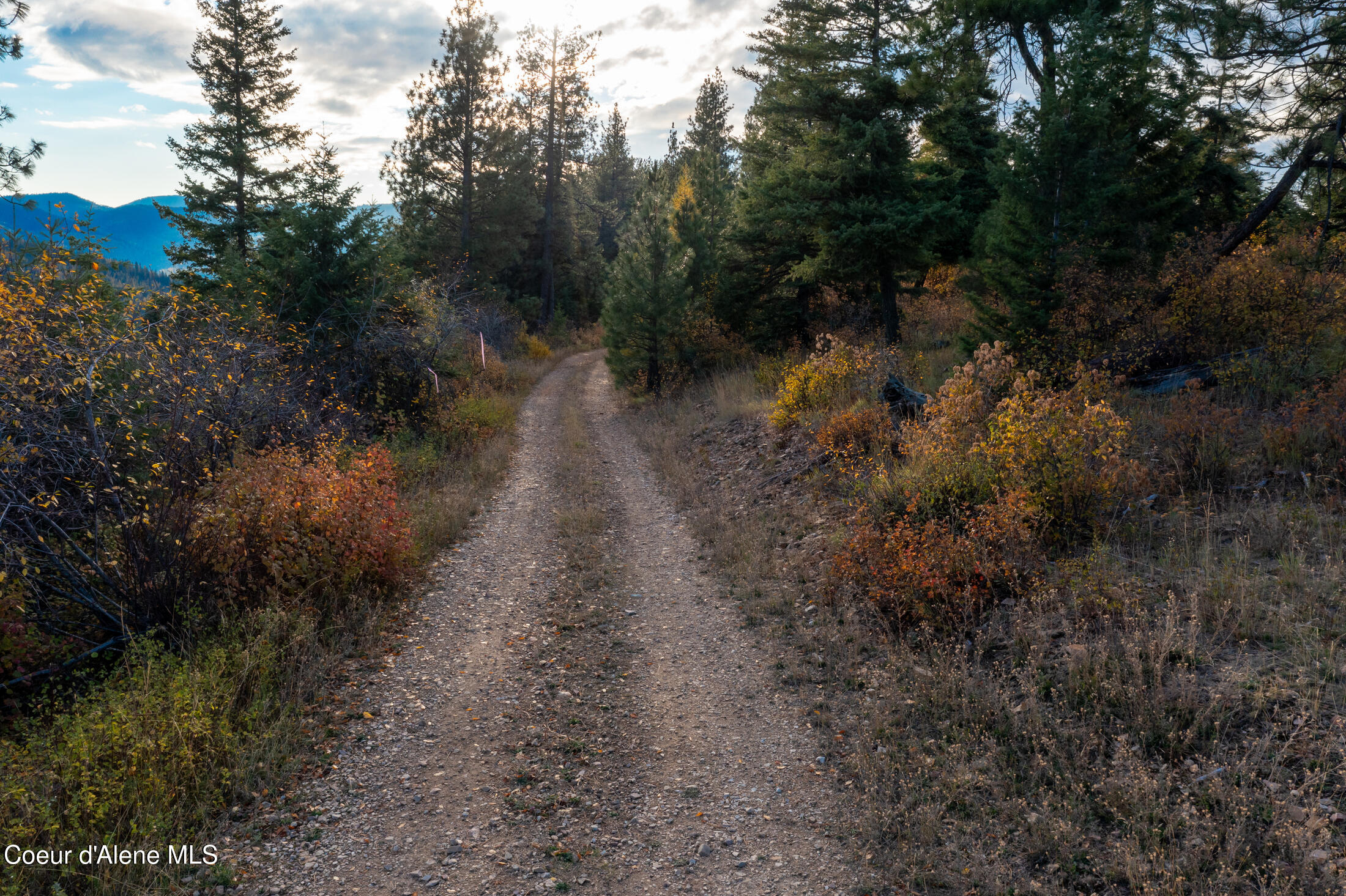 NNA Higbee Draw Rd, Cataldo, Idaho image 2