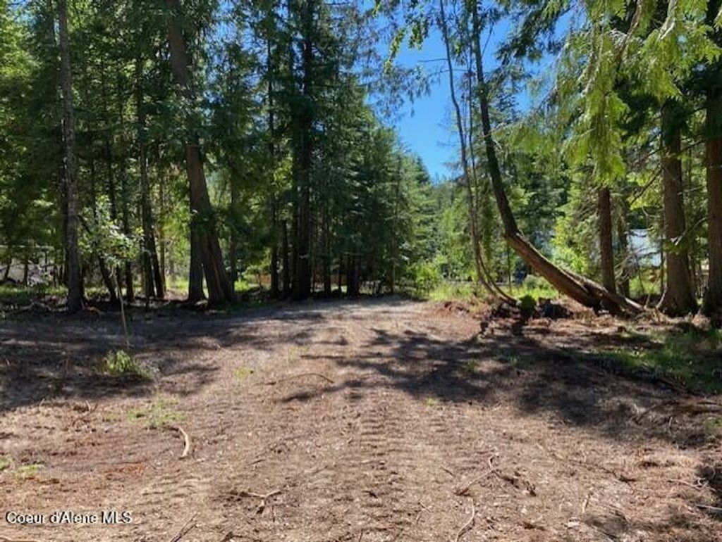 Photo of Lots 35 &amp; 36 Dolly Vardon, Bayview, ID 83803 (MLS # 26-2063)