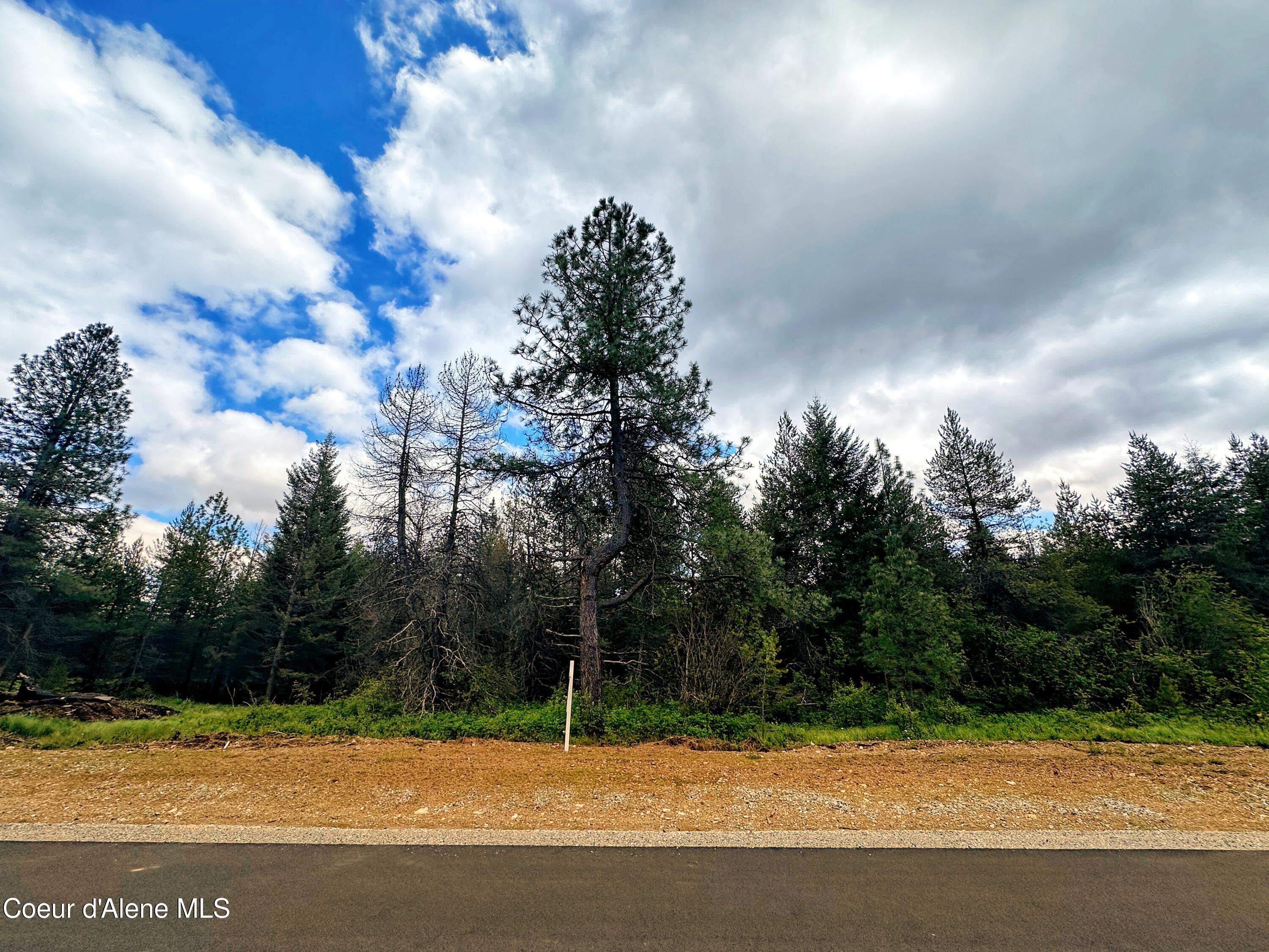 L9 B3 E Autry Ln, Athol, Idaho image 1