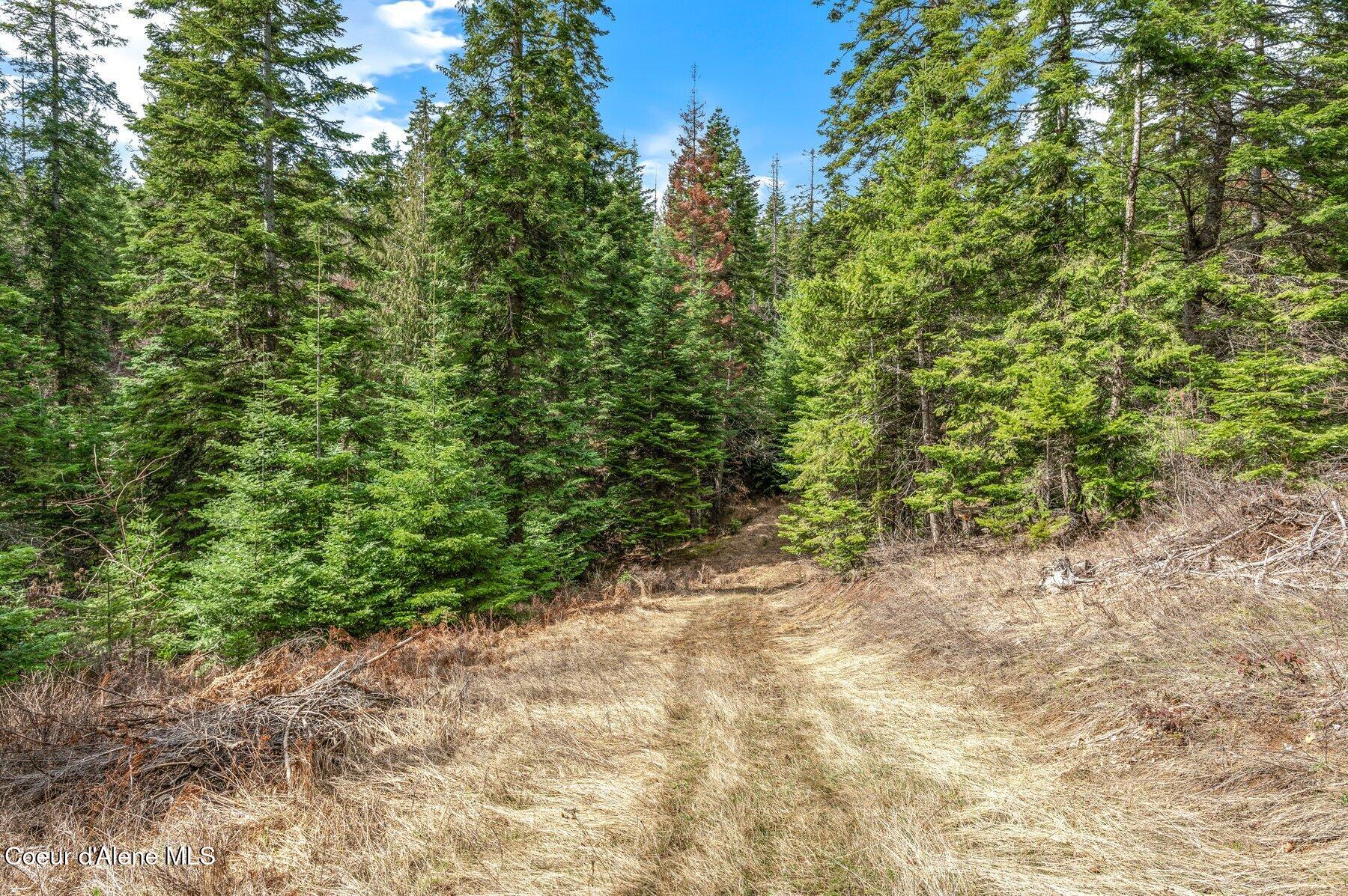 3448 S Huntsman Rd, Coeur d'Alene, Texas image 41