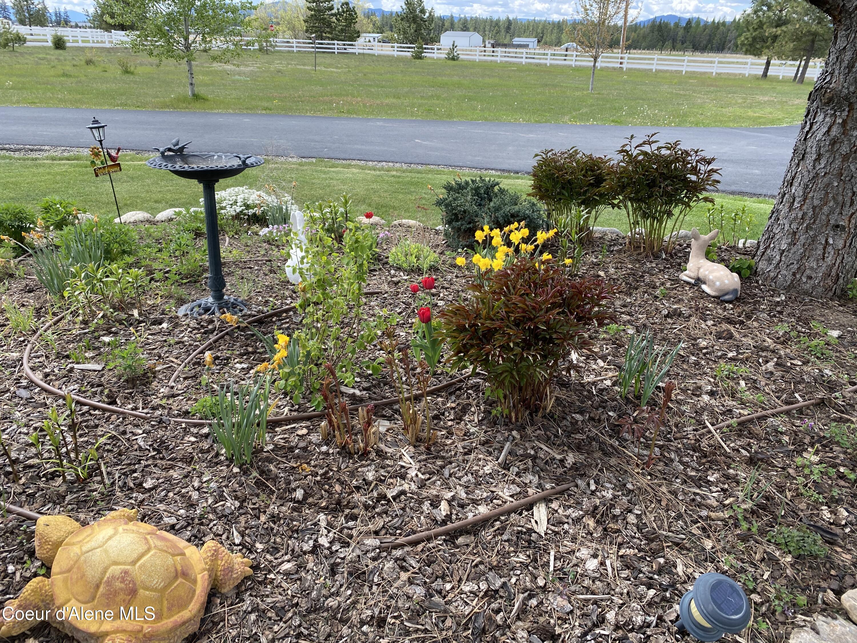 30259 N Sienna Loop, Athol, Idaho image 3