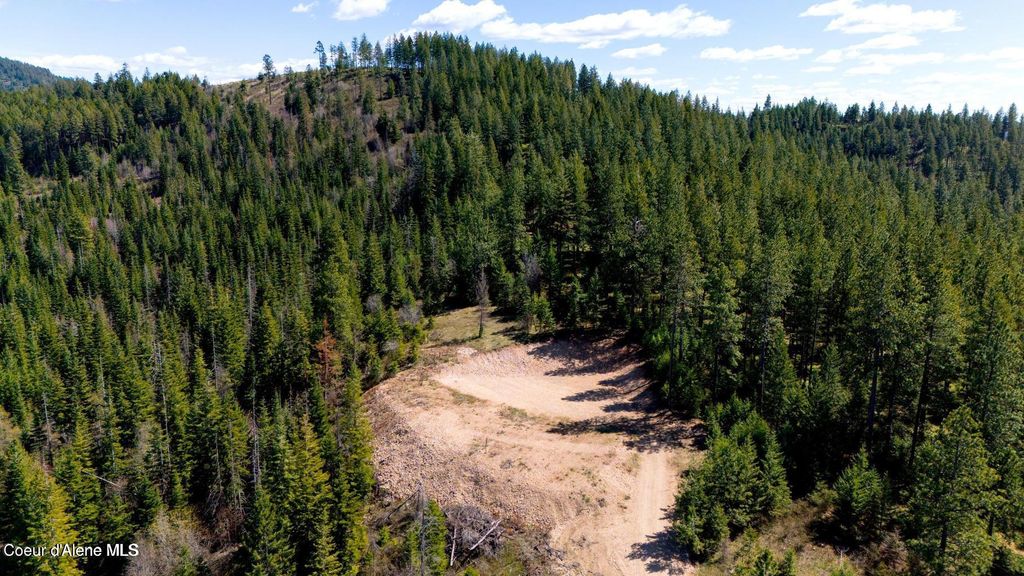 Photo of Lot 10 Moose Dr Dr, Plummer, ID 83851 (MLS # 26-3192)