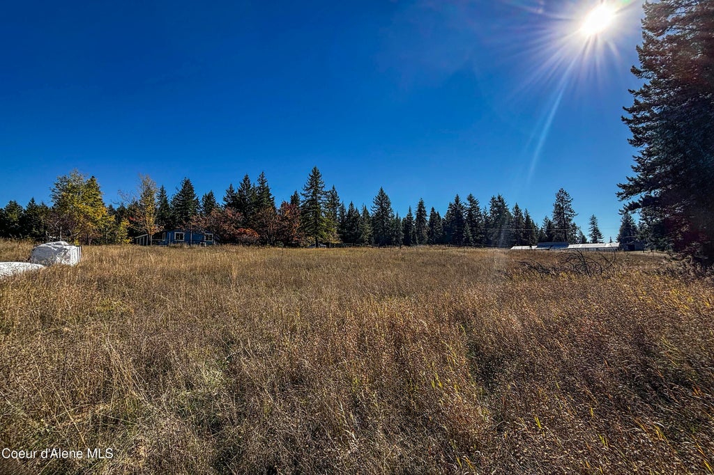 Photo of 364 Misty Meadow Meadow, Athol, ID 83801 (MLS # 26-10471)