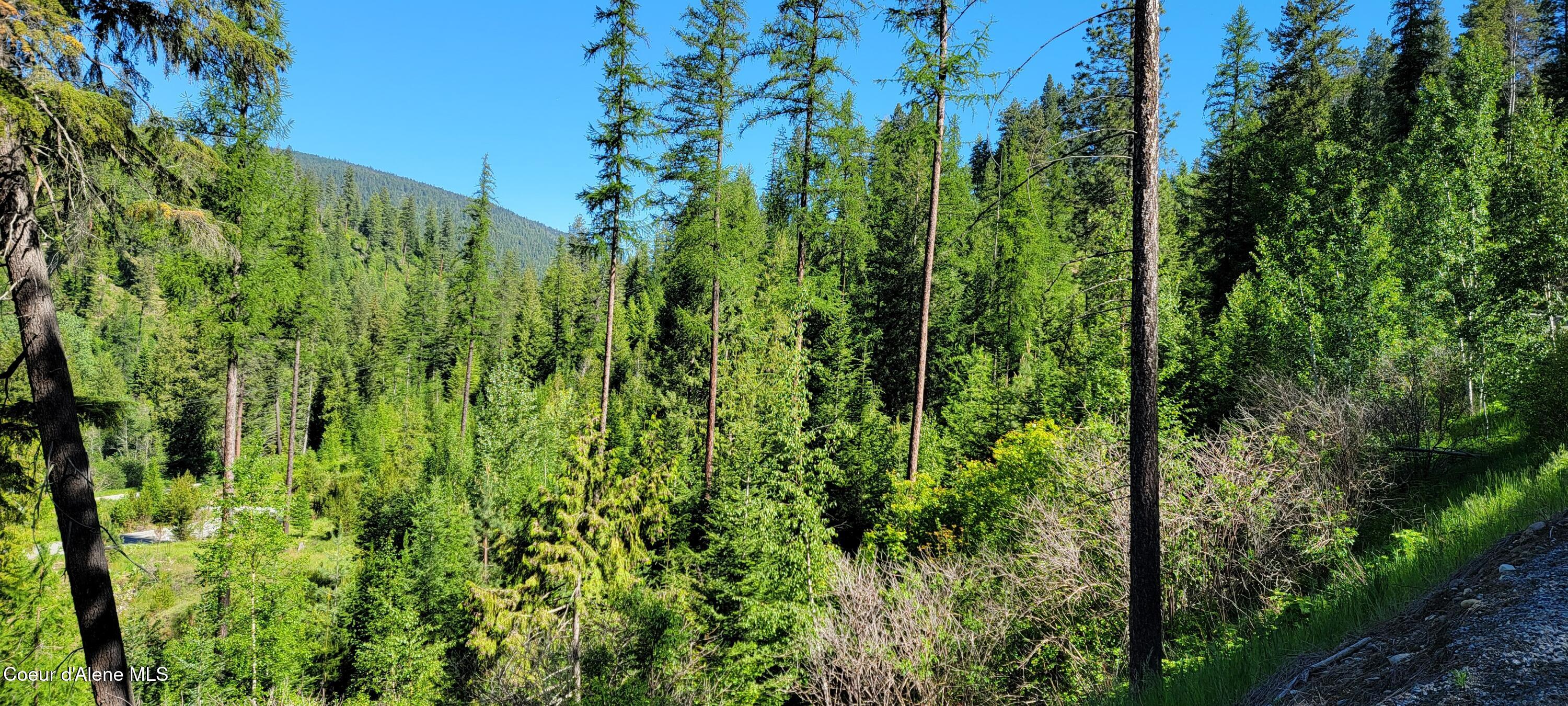 NNA N Falcon Ridge Drive-#2 Circle, Naples, Alaska image 8