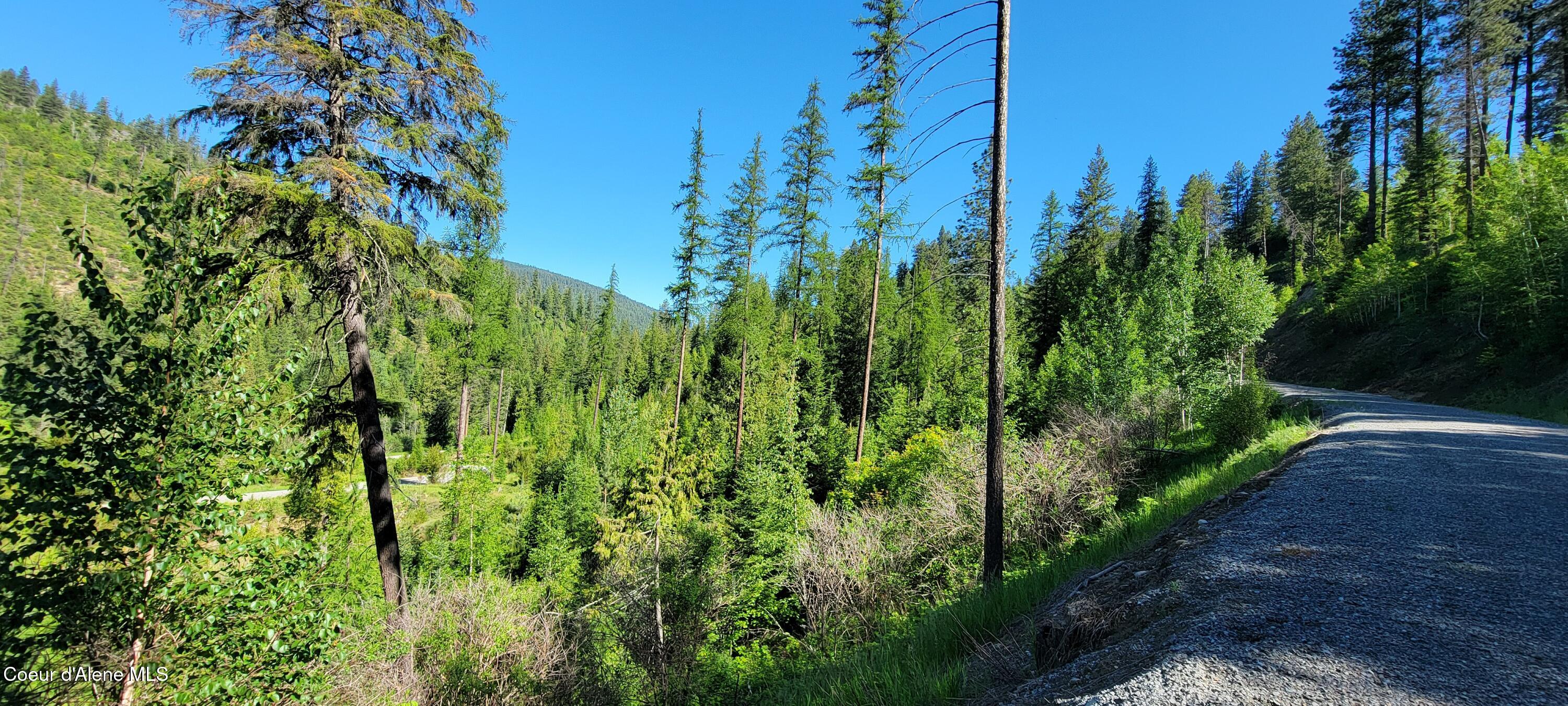 NNA N Falcon Ridge Drive-#2 Circle, Naples, Alaska image 9