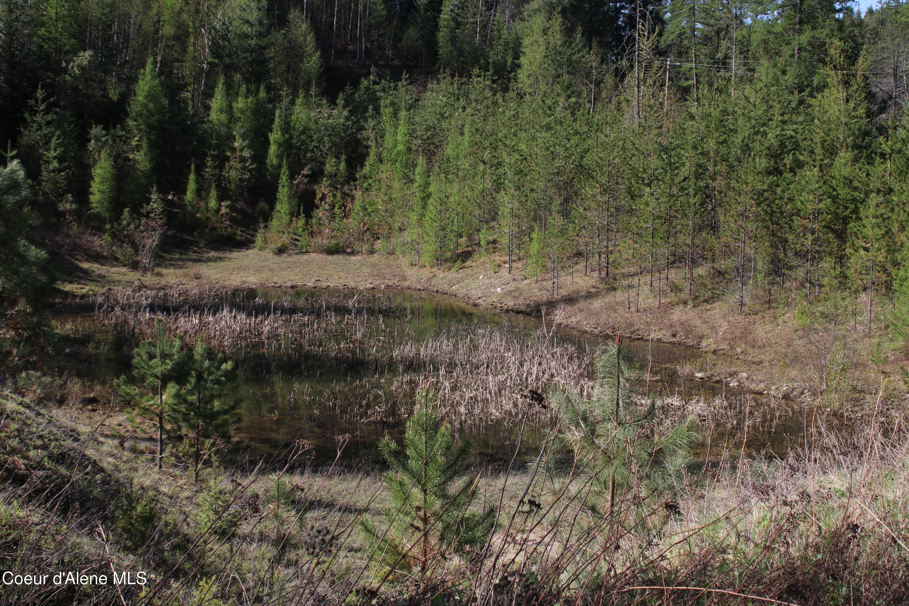 NNA N Falcon Ridge Drive-#2 Circle, Naples, Alaska image 14