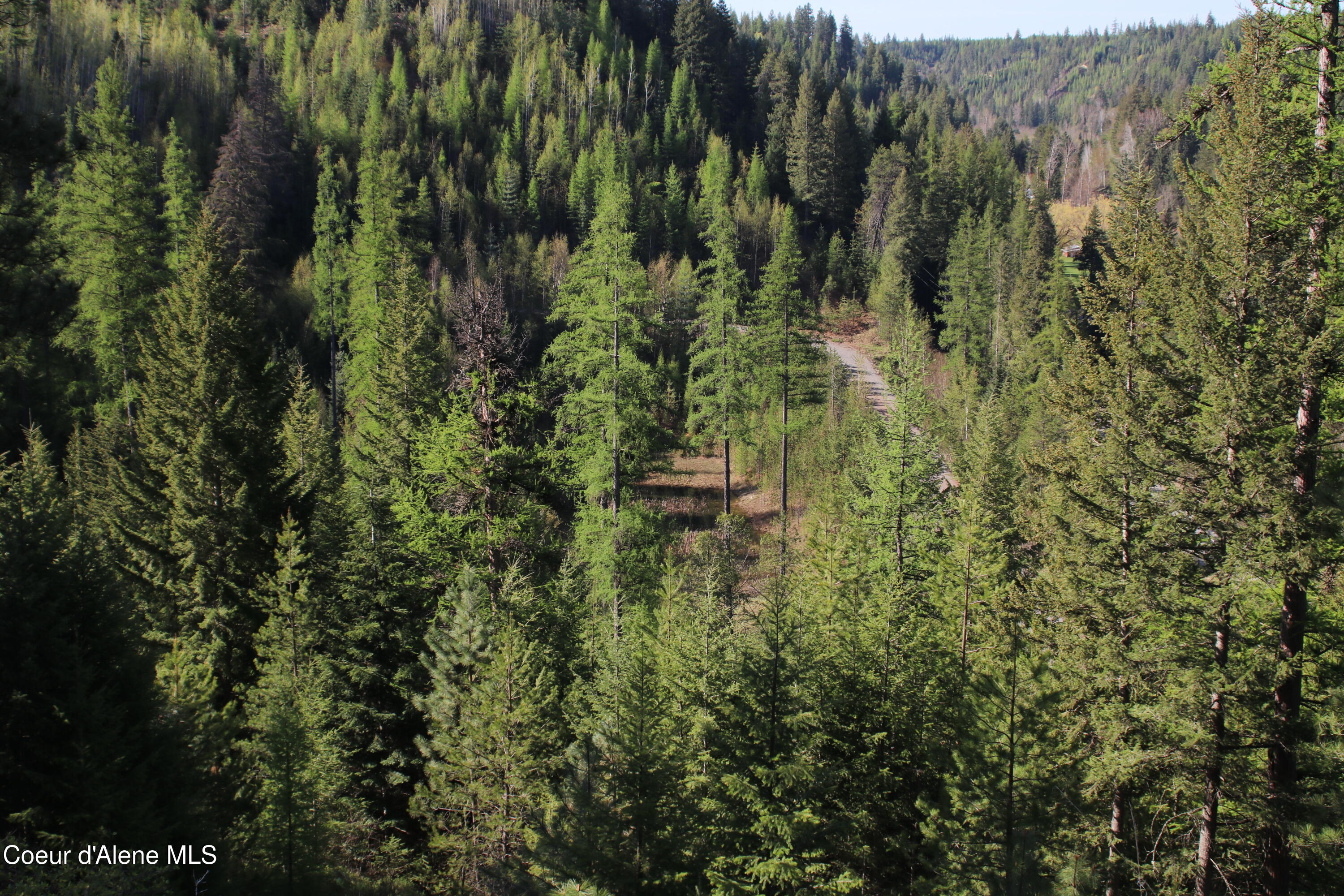 NNA N Falcon Ridge Drive-#2 Circle, Naples, Alaska image 12