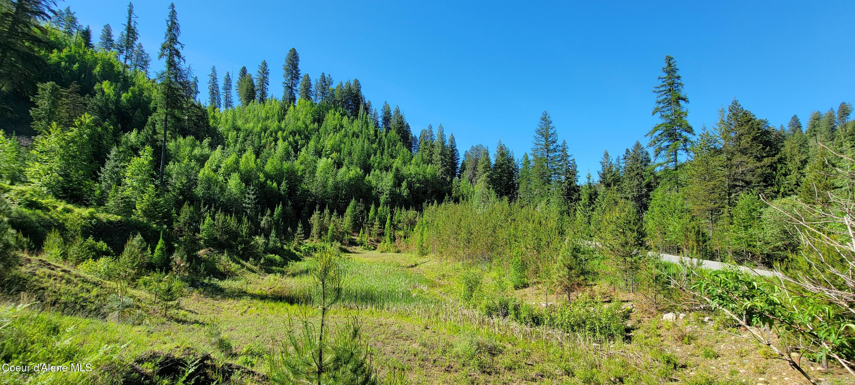 NNA N Falcon Ridge Drive-#2 Circle, Naples, Alaska image 5