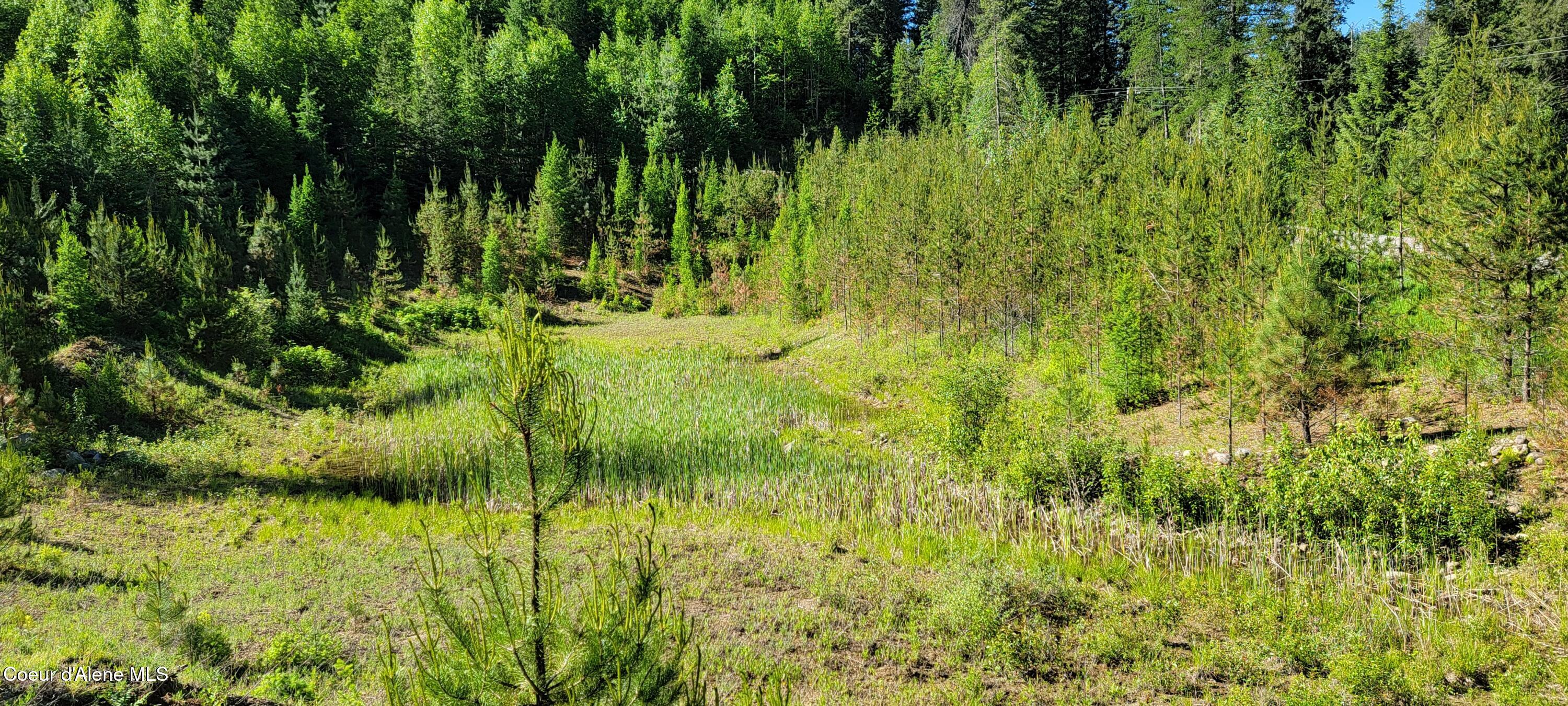 NNA N Falcon Ridge Drive-#2 Circle, Naples, Alaska image 7