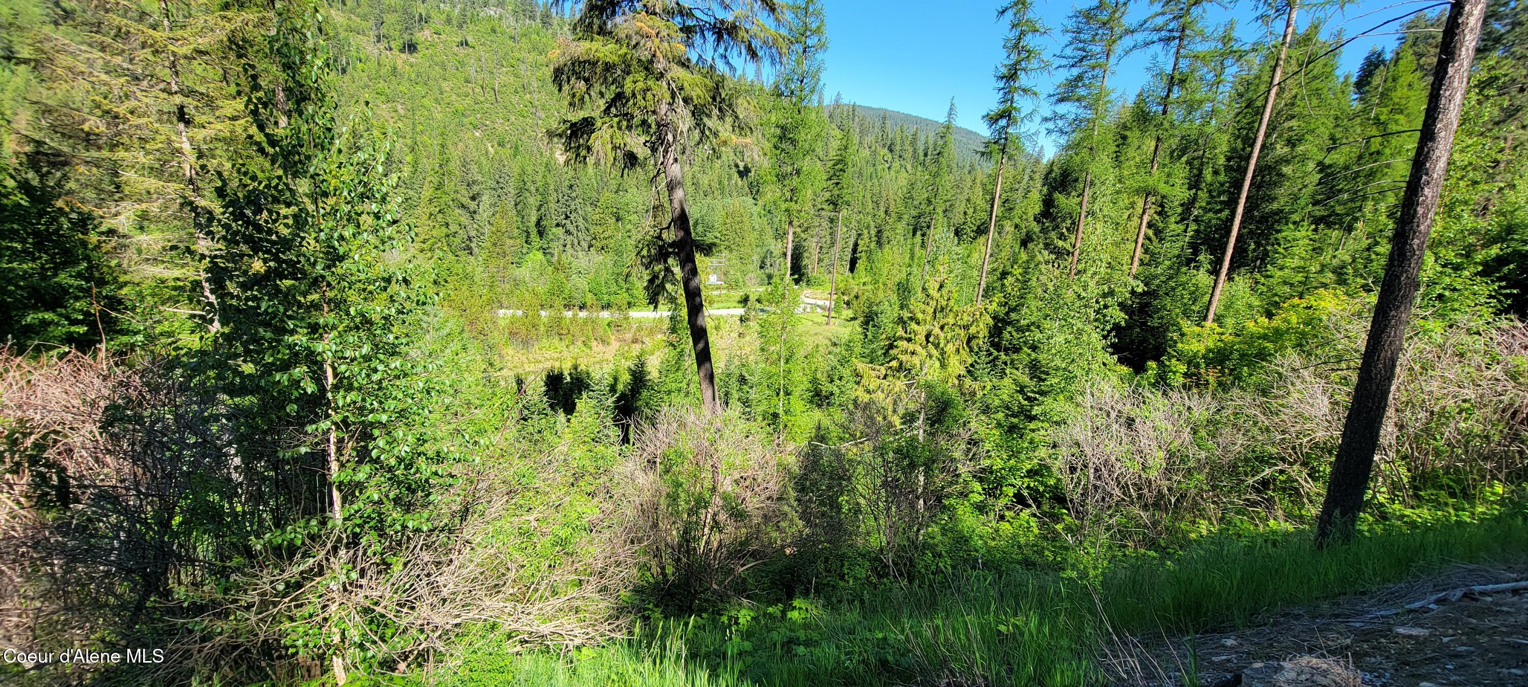 NNA N Falcon Ridge Drive-#2 Circle, Naples, Alaska image 10