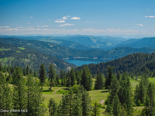 FREEMAN CREEK RD, LENORE, ID 83541 - Image f8fe090ad24a79cd672b9d50d8eacfff/2167971994