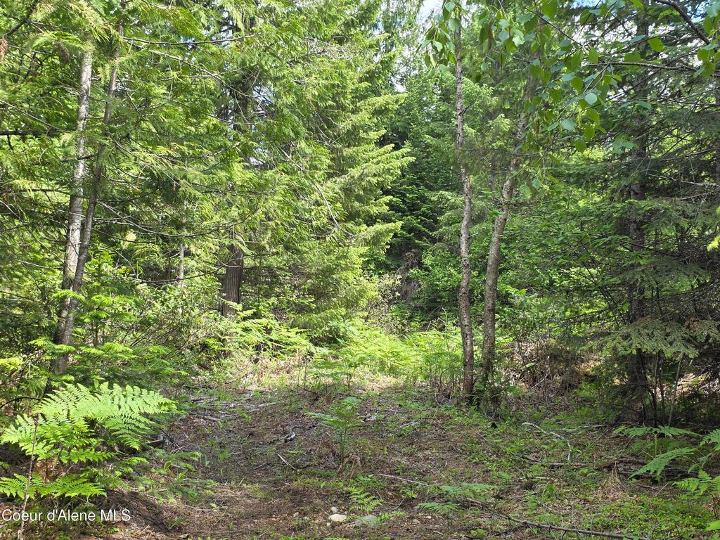 Photo of 5784 River RD, Clark Fork, ID 83811 (MLS # 26-5444)
