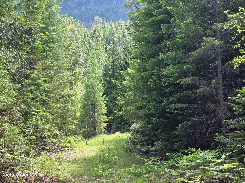 Photo of 5784 River RD, Clark Fork, ID 83811 (MLS # 26-5444)
