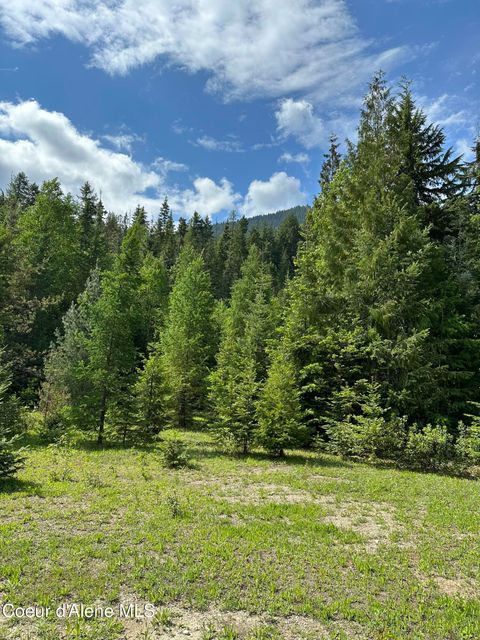 Vacant Land For Sale - 5784 River Rd<br/> Clark Fork, ID 83811