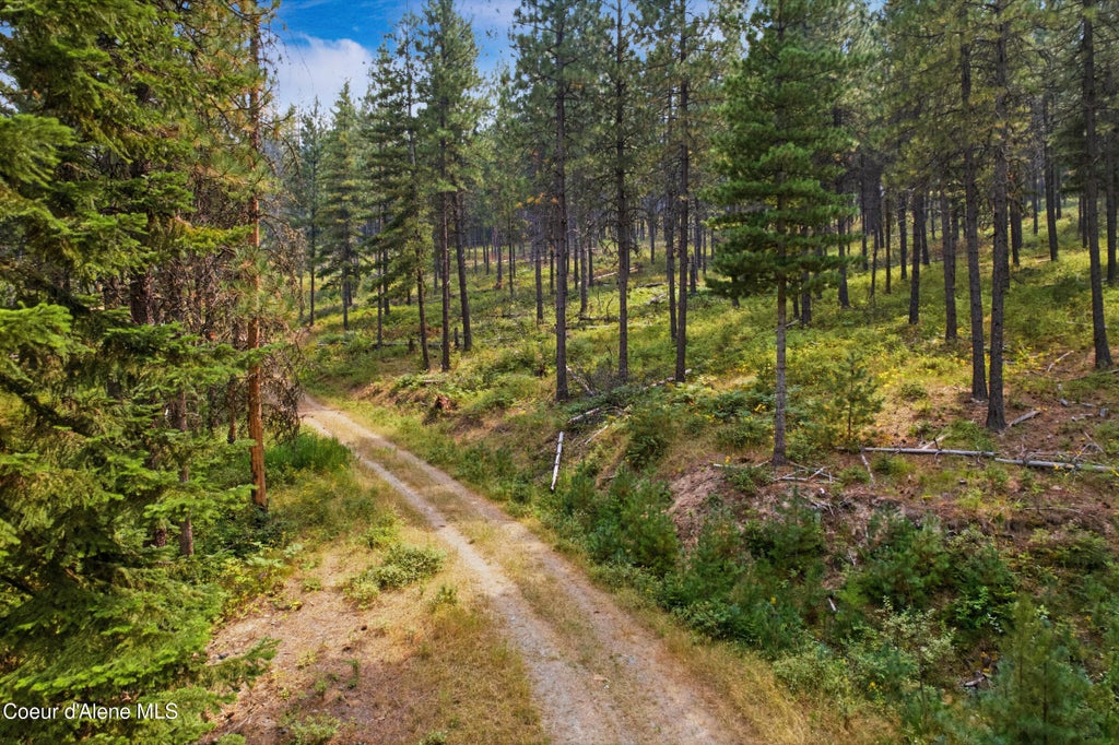 Photo of NKA Kelly Gulch, Pinehurst, ID 83850 (MLS # 26-8359)