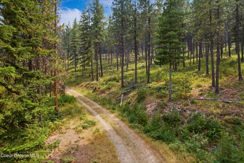 Vacant Land For Sale - NKA Kelly Gulch<br/> Pinehurst, ID 83850