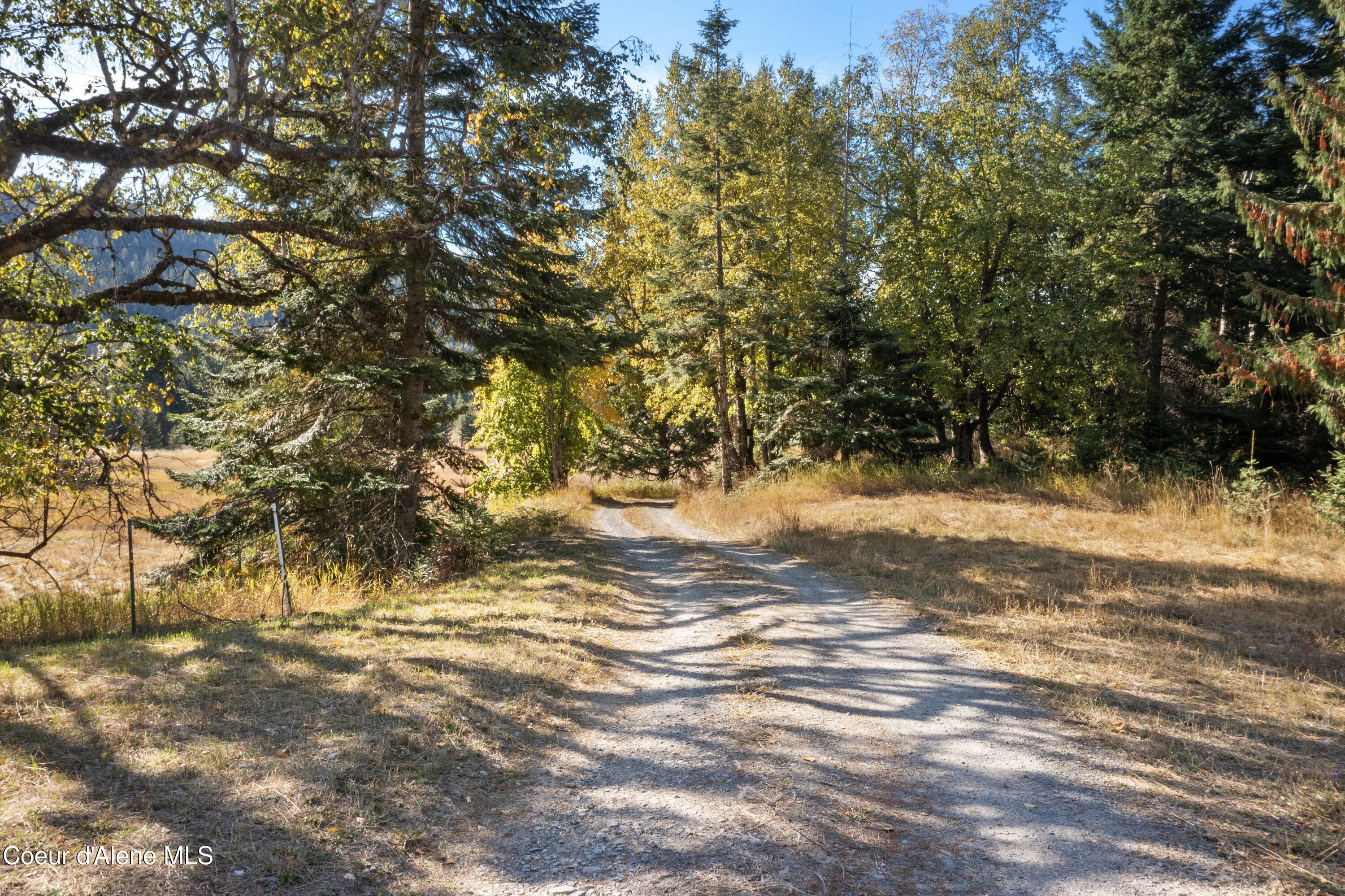 2376 Little Blacktail Rd, Careywood, Idaho image 44