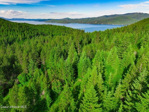 Vacant Land For Sale - NKA-2 Skyview<br/> Harrison, ID 83833
