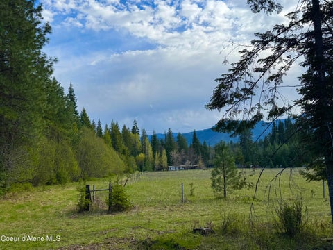 Vacant Land For Sale - 8 Dead Horse Ln<br/> Sanders County, Heron, MT 59844