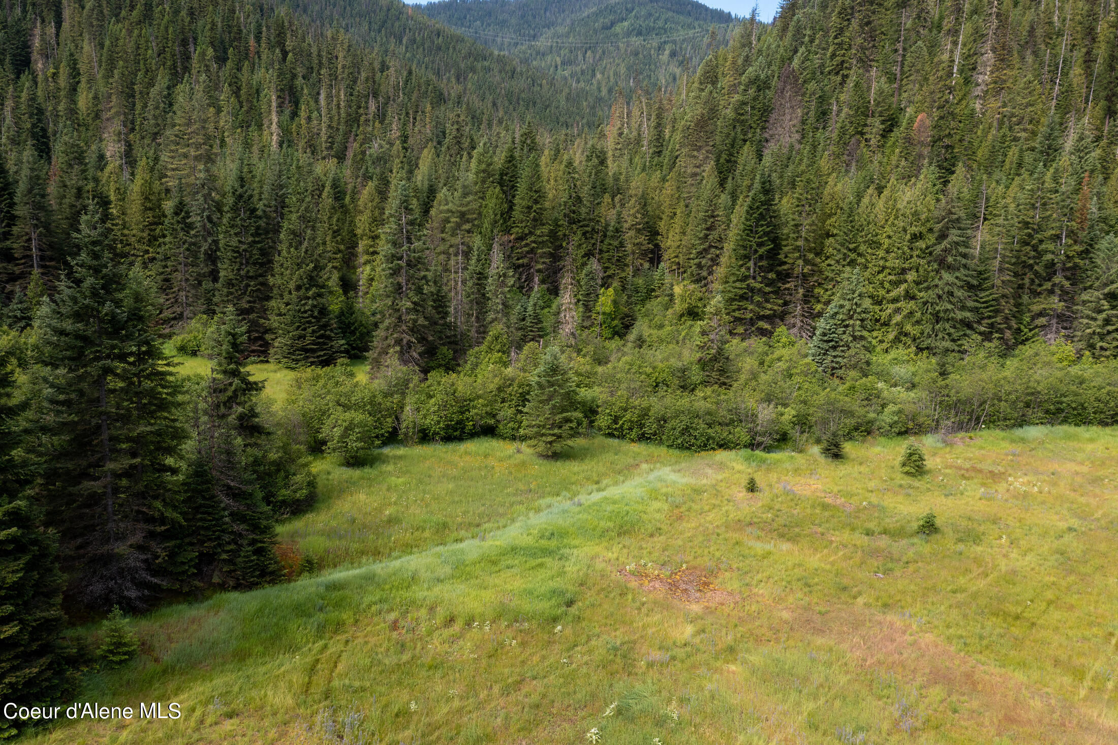 NNA Beaver Creek Rd, Wallace, Idaho image 5