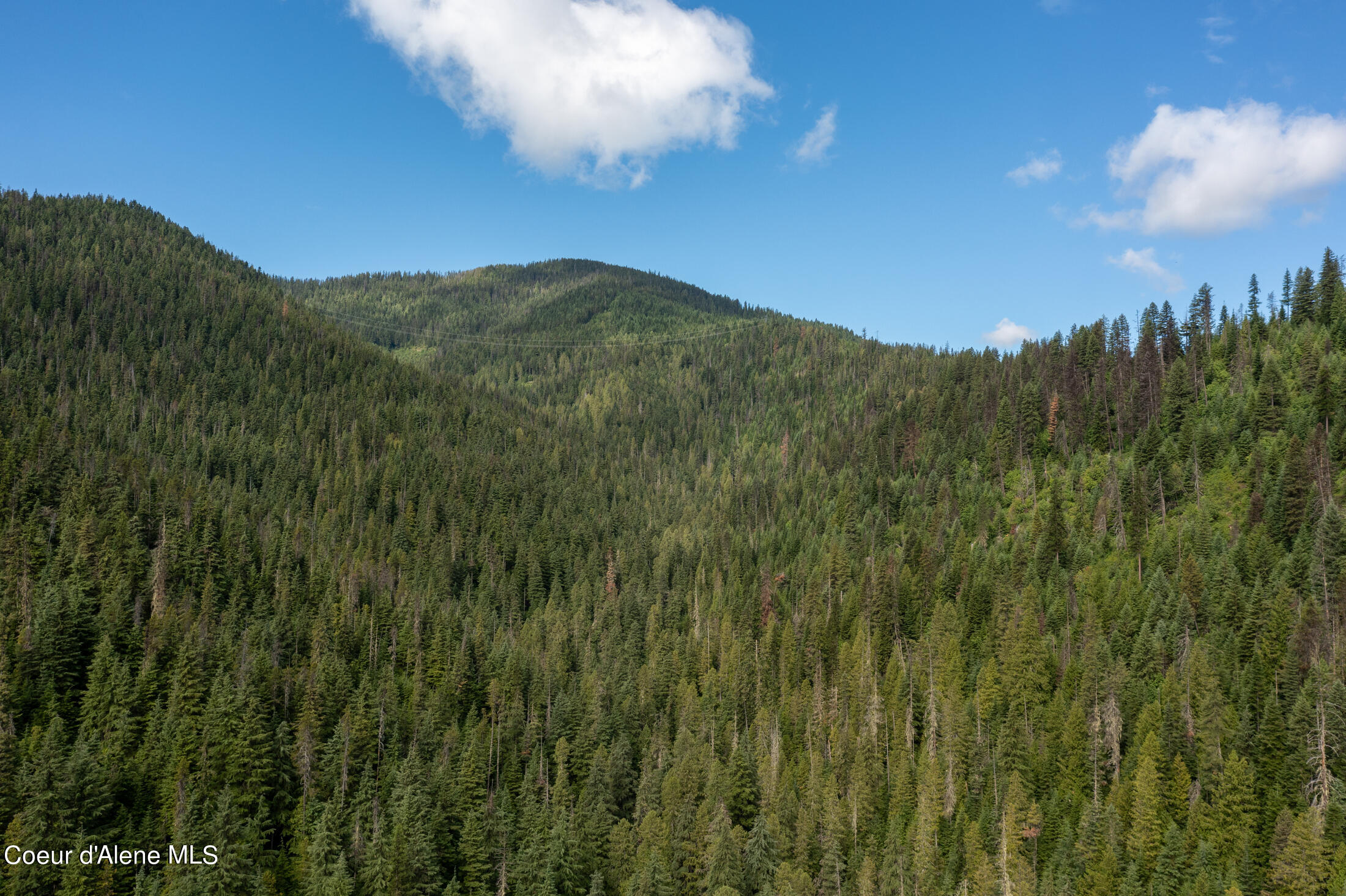 NNA Beaver Creek Rd, Wallace, Idaho image 48