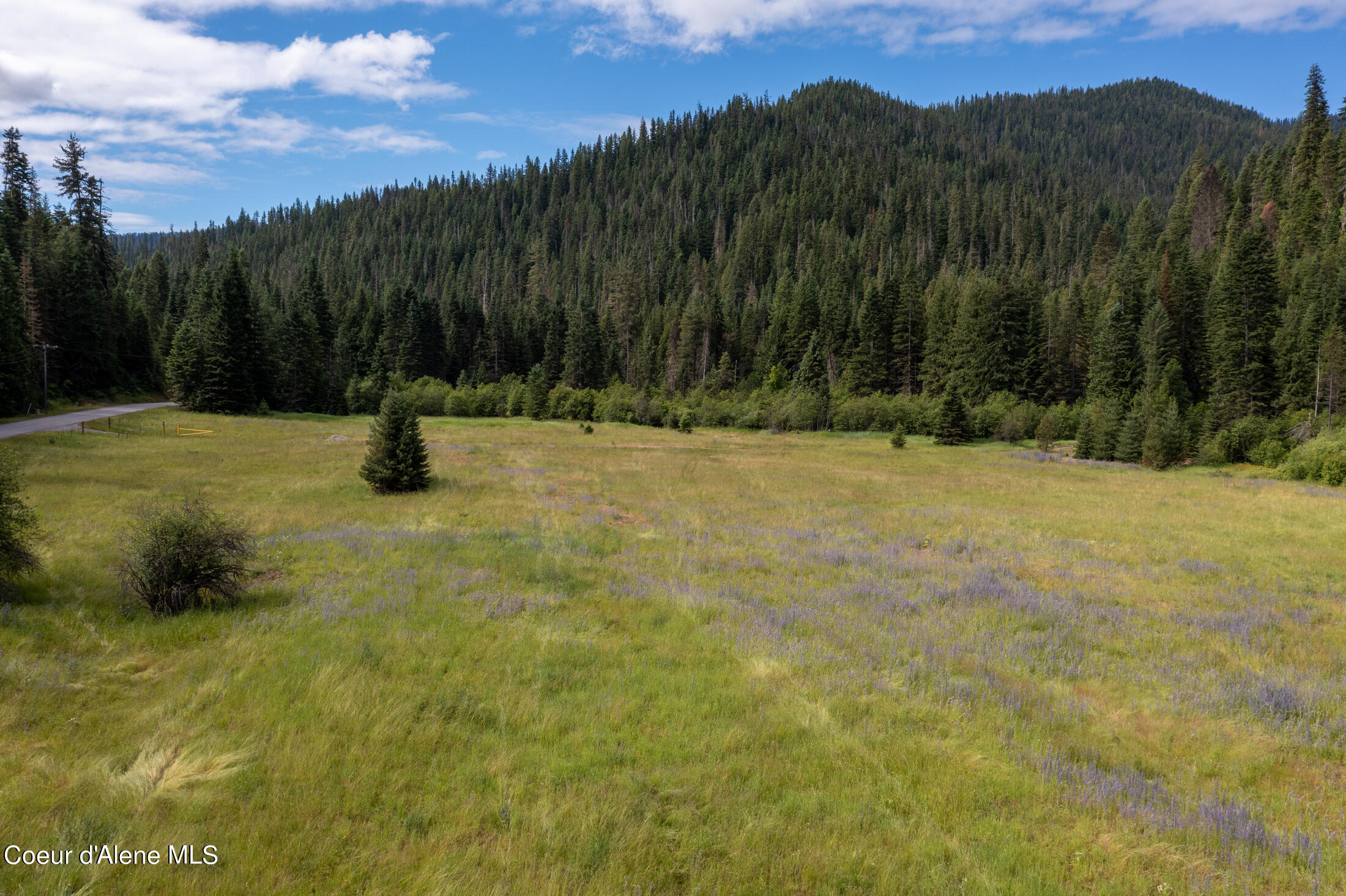 NNA Beaver Creek Rd, Wallace, Idaho image 4