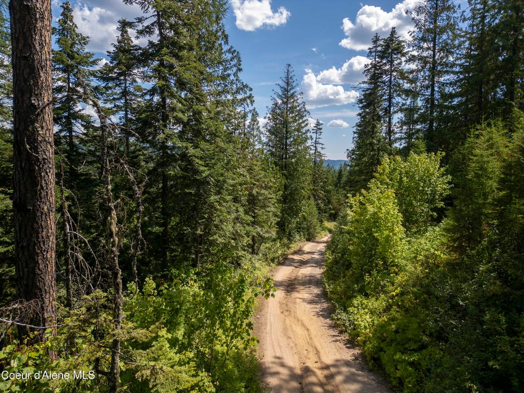 Photo of NNA Indian Creek Creek, Tensed, ID 83870 (MLS # 26-2942)