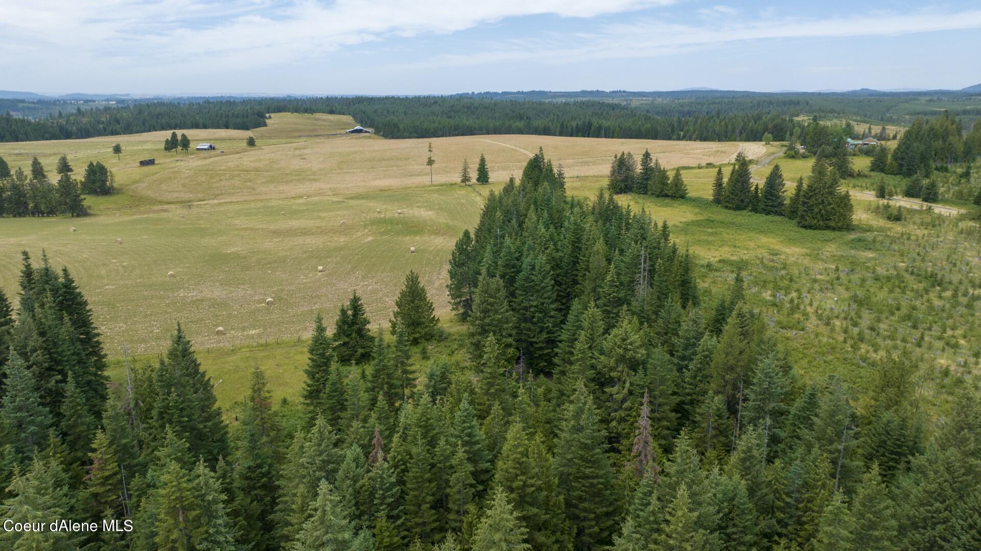 1605 Jasmine Ln, Parcel 8, Weippe, Idaho image 8