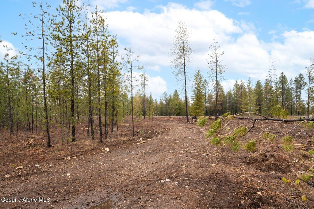 Photo of L14 B1 N Mountain View Rd Rd, Rathdrum, ID 83858 (MLS # 26-434)