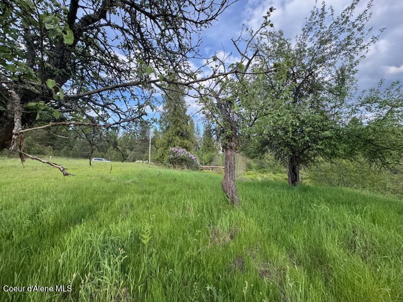 NKA N Haughey Dr, Lot 10 Circle, Cocolalla, Alaska image 4