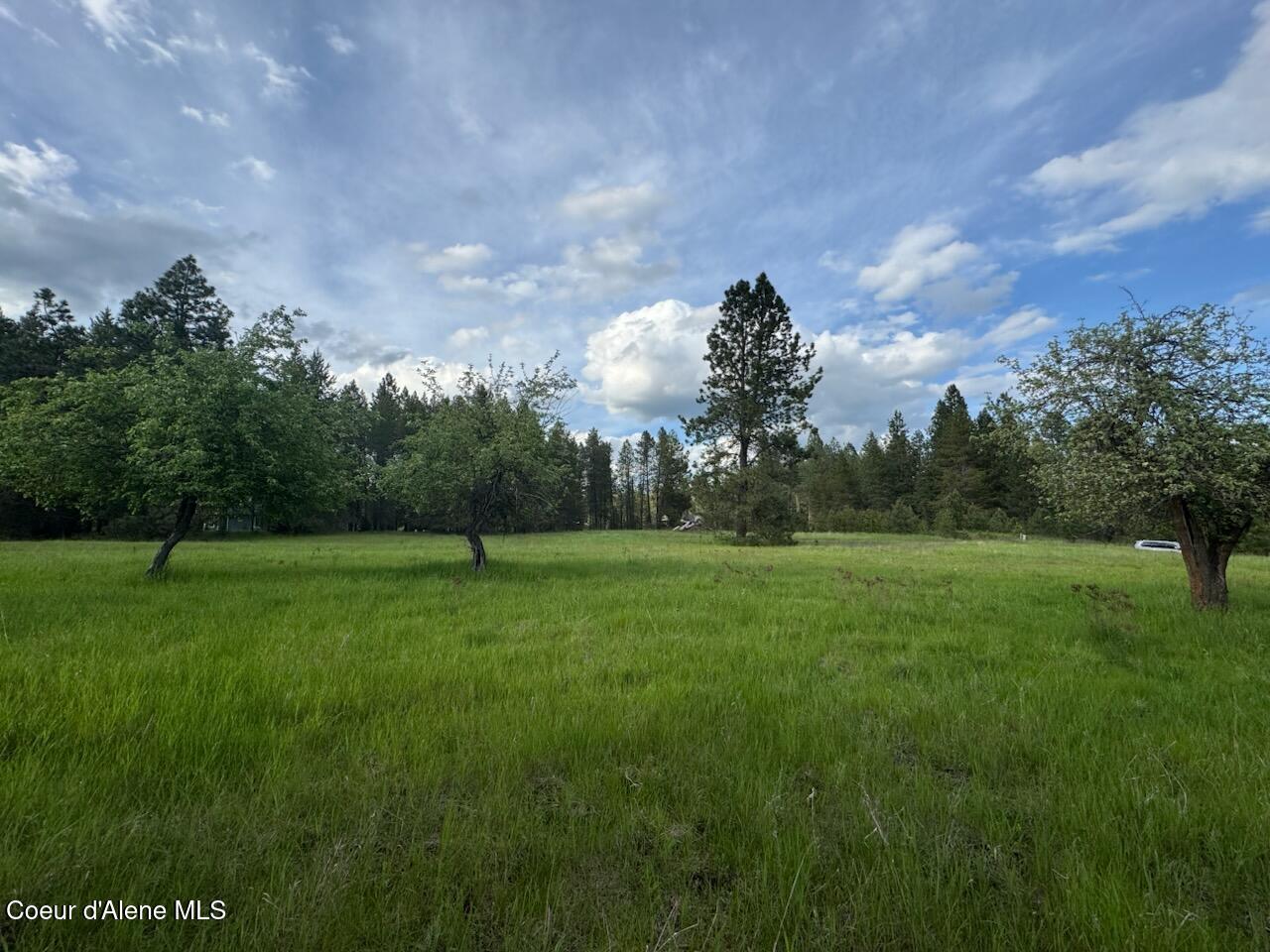 NKA N Haughey Dr, Lot 10 Circle, Cocolalla, Alaska image 5