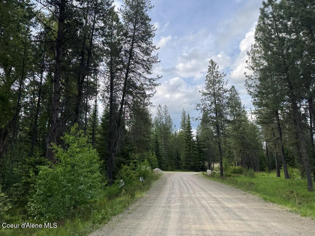 NKA N Haughey Dr, Lot 10 Circle, Cocolalla, Alaska image 34